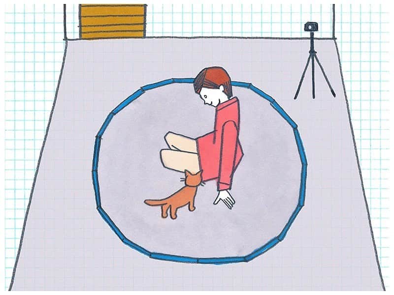 服部円のインスタグラム：「【sippo連載 第24回】  ネコと飼い主の信頼関係に迫る！　ネコの愛着行動調査をしたら意外な結果に？  https://sippo.asahi.com/article/14894390  #ネコ研究最前線  #ilovecat #ねこのいる生活  #ねこすたぐらむ  #猫部」