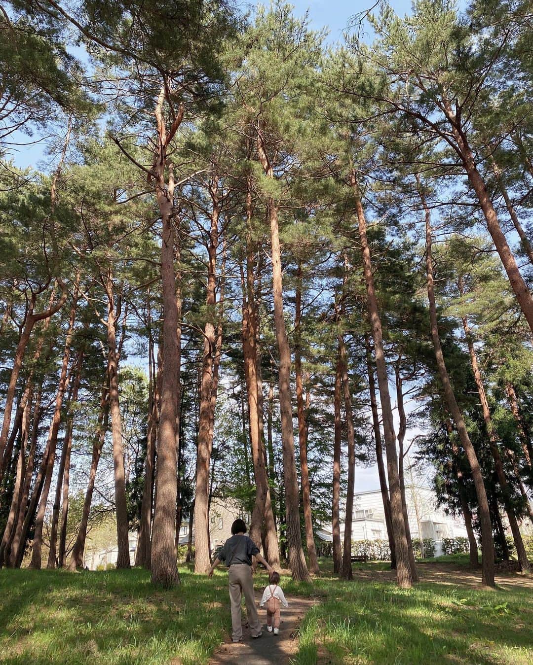 井村亜里香さんのインスタグラム写真 - (井村亜里香Instagram)「自然の中でゆったり散歩🍃 @ayakawasaki のウォレットが大活躍で 携帯どこいった問題もなくなるし コインケース付きなのでお財布入らずで GWはこれのみで過ごす予定🌼 便利で可愛いって最高🌈  #gw#ayakawasaki#aomori #ウォレット#青森#ママライフ」4月29日 19時04分 - arika_imura