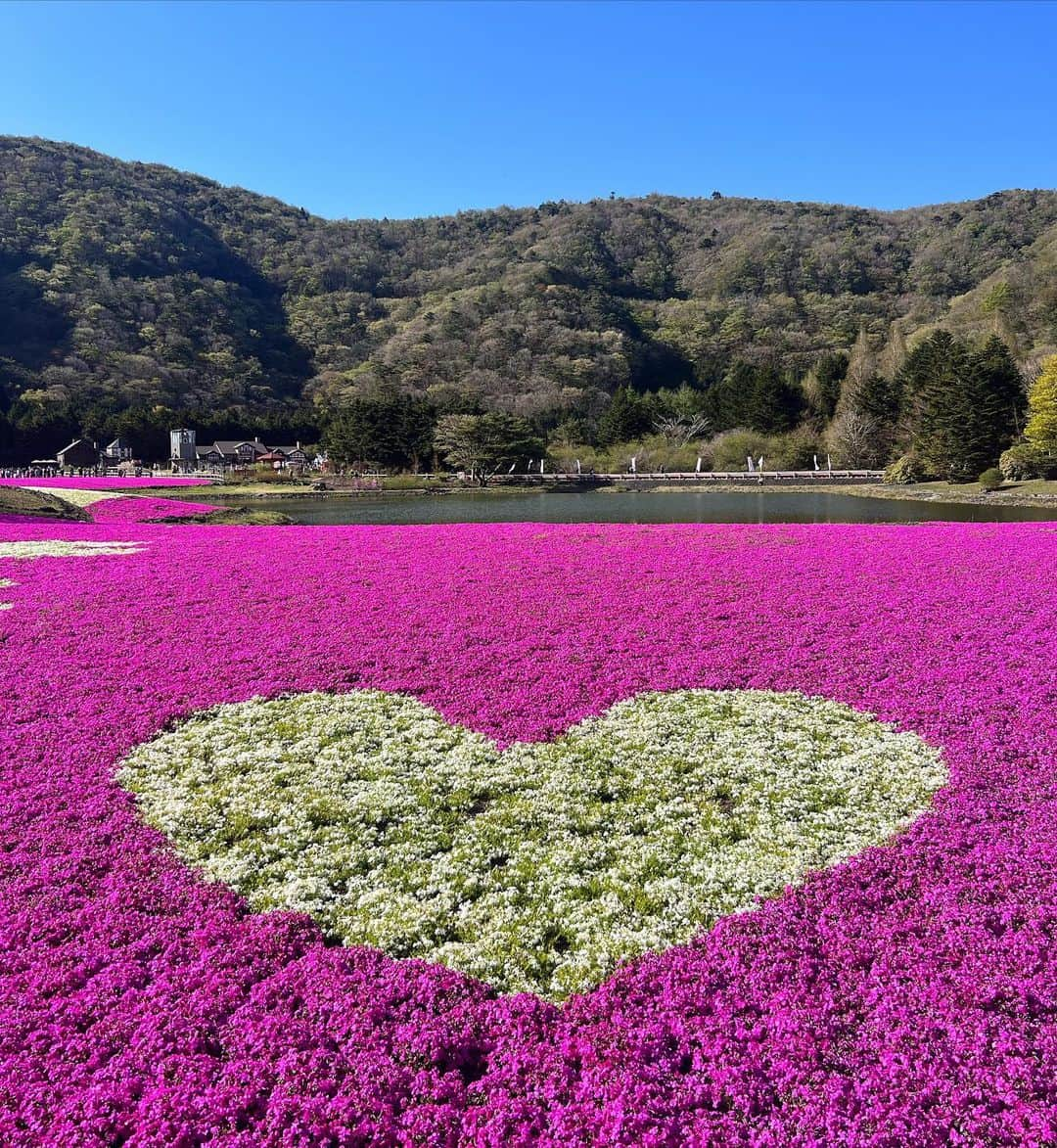 加藤里奈さんのインスタグラム写真 - (加藤里奈Instagram)「⋆  芝桜、圧巻の景色でした〜！🌸  #山梨 #山梨観光 #静岡 #静岡観光 #富士山 #姉妹 #姉妹コーデ #mtfuji #ファッション #河口湖 #お出かけスポット #お出かけ #旅行 #旅行好きな人と繋がりたい  #芝桜 #芝桜まつり #富士芝桜まつり #お花見 #お花見コーデ」4月29日 19時20分 - katoco0326