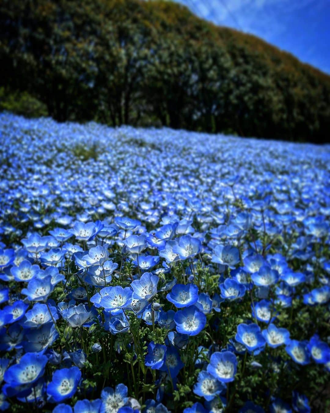 今野浩喜のインスタグラム