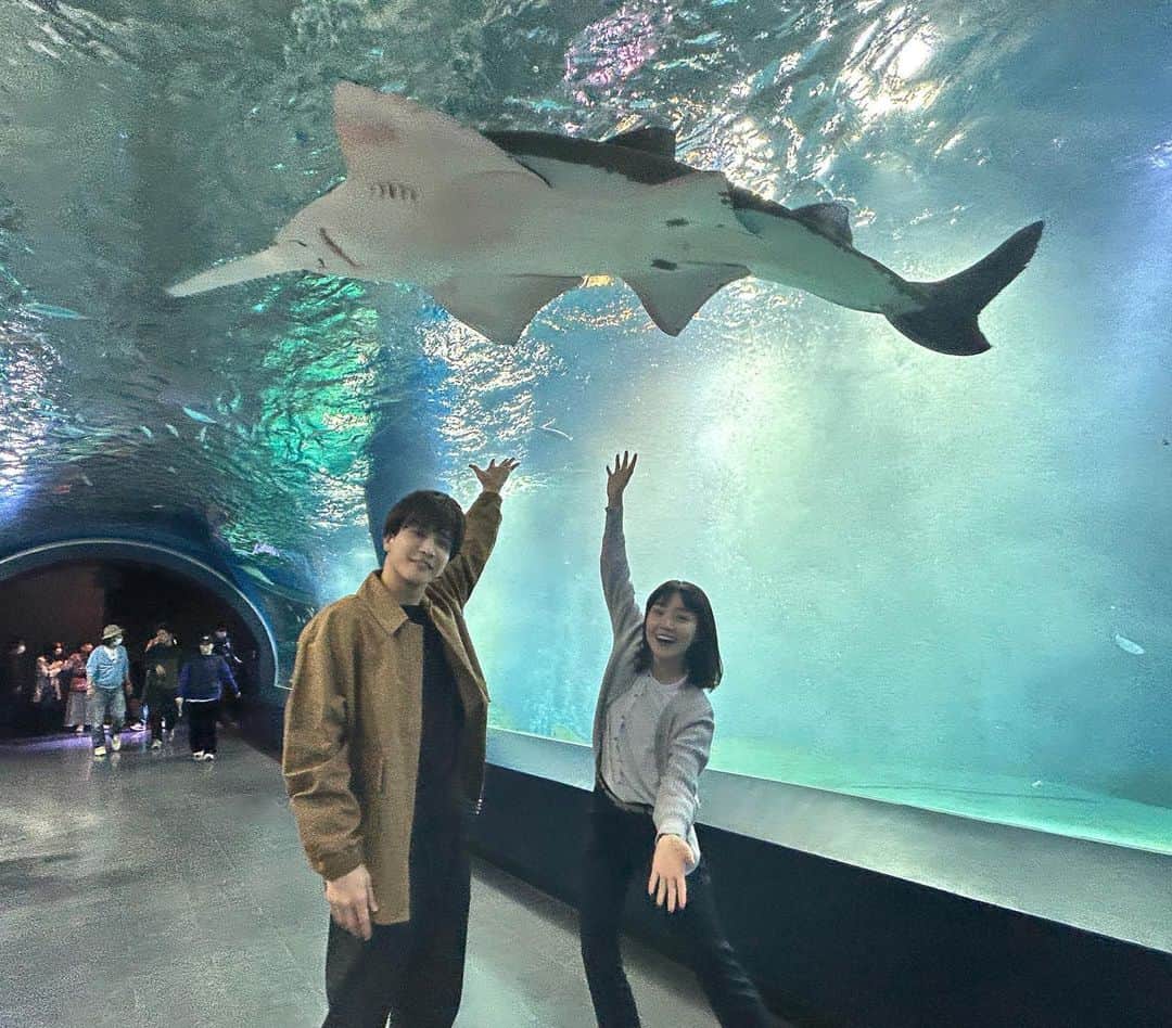 あなたがしてくれなくてものインスタグラム：「🫧オフショットをお届け🫧  みち(#奈緒)と新名(#岩田剛典)が ズル休みして水族館へと訪れるシーン🐠✨  Twitterでは水族館メイキング映像を公開❕  第１話〜３話は #TVer で無料配信中！ プロフィール欄のリンクからチェック📺」