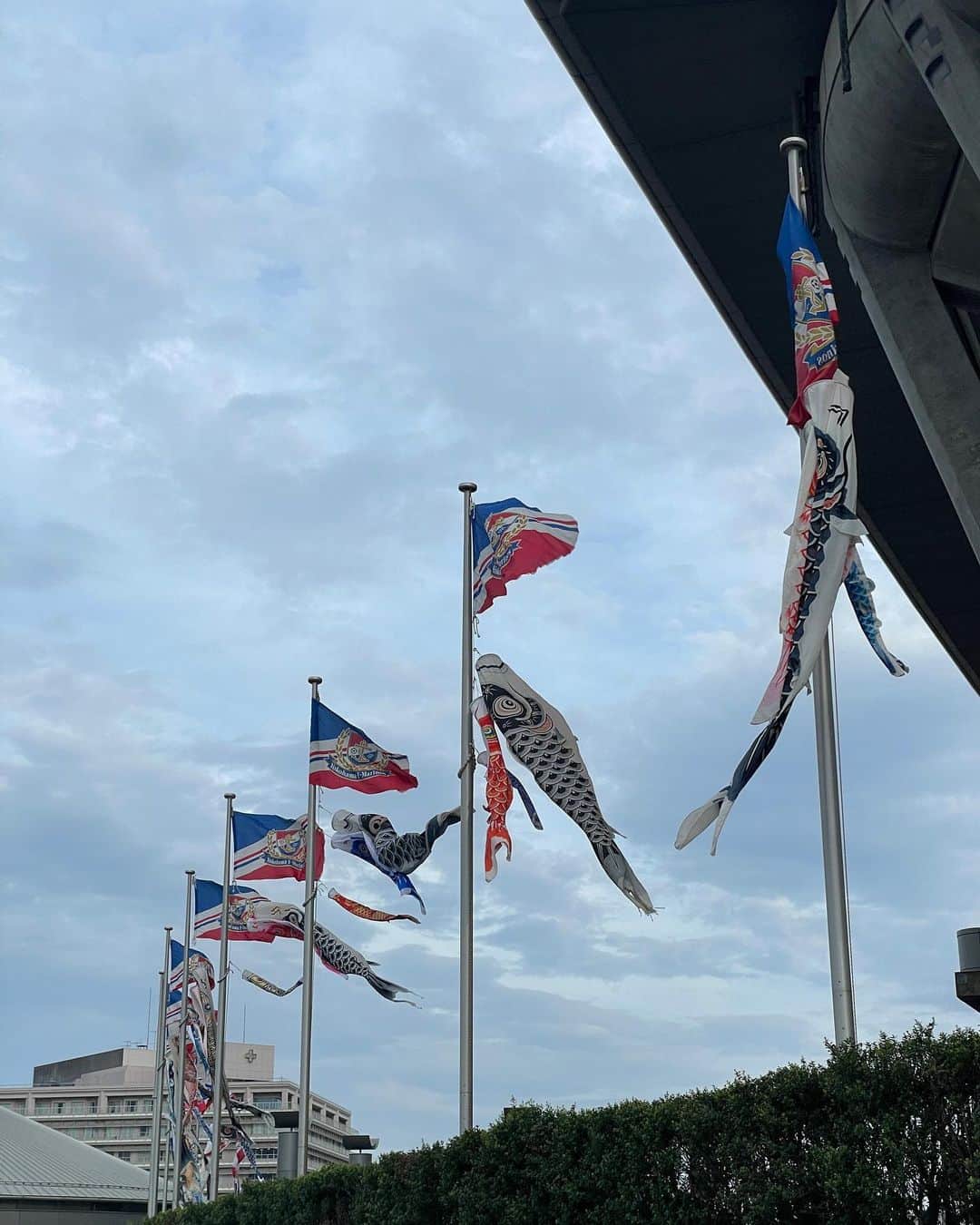 指出瑞貴さんのインスタグラム写真 - (指出瑞貴Instagram)「🏍️🇯🇵⚽️🏝️ I went to soccer game in #nissanstadium .  やはりスポーツは生観戦が1番いい⚽️🩷 やや風が強かった〜 良き夕方活動だったなぁ  #バイクで来た #まじ卍 Bullちゃんを愛でた日 #レブル250 #rebel250 #honda #hondago」4月29日 19時56分 - sashidemizuki