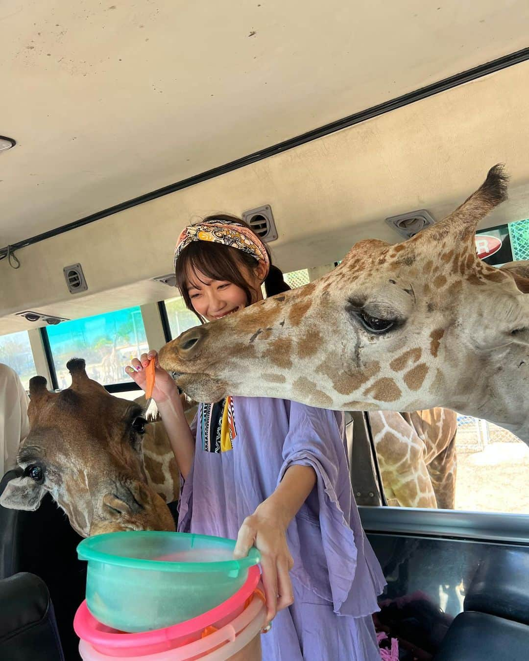 溝呂木世蘭さんのインスタグラム写真 - (溝呂木世蘭Instagram)「【動物とのたくさん触れ合える動物園🦁】  <📍Safari Park Open Zoo & Camp>  ヒョウとお散歩！きりんバス！トラにミルク！ライオン抱っこ  いろんな動物と境界線なしで遊べるよ♡  なかなかない動物園！  猛獣と触れあうのは怖いかもだけど、好きな人は絶対行くべき♡  #猛獣好き #キリン#トラ抱っこ#ライオン抱っこ#動物好き#カンチャナブリ#タイ観光#タイおすすめ#バンコク観光#バンコク#サファリパーク#旅女子#旅行好き#旅好きと繋がりたい」4月29日 20時21分 - seran_0422