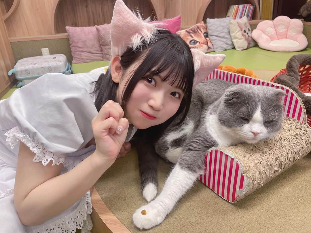 雪村花鈴さんのインスタグラム写真 - (雪村花鈴Instagram)「ふてぶてしい猫さん🐈  『僕と猫。』1日店長イベント＆オフ会きてくれたみなさんありがと🐈♡  猫さん好きだからずっと楽しくて幸せ空間でした〜みんなもとても楽しそうだったので嬉しいですらびゅ」4月29日 21時00分 - yukimura_karin