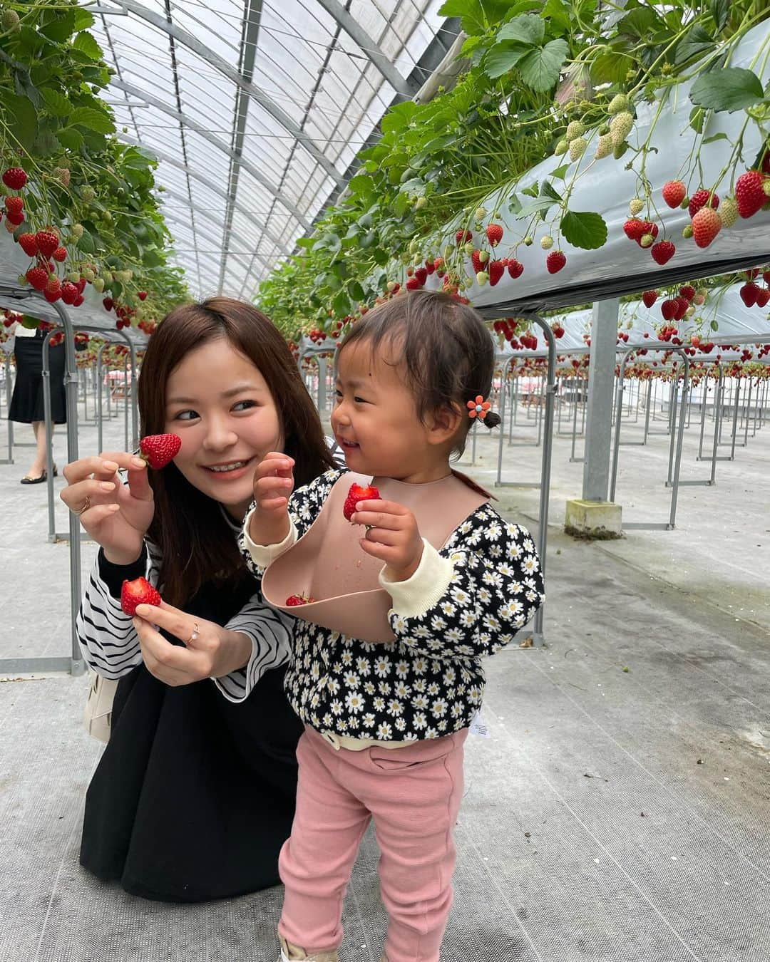 AYAさんのインスタグラム写真 - (AYAInstagram)「_ いちご狩り🍓は妹と♡  詩珠が初めて「ゆうな」って言えた日  結菜は嬉しくて何回も言わせてた😂♡ この日からちゃんと写真見ても 「ゆーな！」て言うようになった🤭  土砂降りやったけど楽しい一日やったな🐰  #詩珠diary  #綾花と結菜   #滋賀お出かけ#苺狩り#滋賀いちご狩り#姉妹#姉妹day#姪っ子#1歳女の子#1歳5ヶ月#女の子ママ#女の子コーデ」4月29日 21時01分 - a.y.hana_12o6