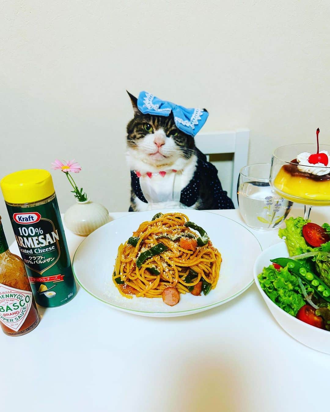マロのインスタグラム：「🍝ナポリタンの日🍝　 ✴︎ 愛知県名古屋市中区に本社を置き、ナポリタンに欠かせないトマトケチャップの製造・販売などを手がけるカゴメ株式会社が制定。 日付はナポリタンが昭和生まれの日本の洋食であることから、国民の祝日である「昭和の日」の4月29日に。 ✴︎ いつもコメントありがとうございます😺🙏💗 全て拝見しています🐾 ✴︎ Thank you for your kind comments😺🙏💗 ✴︎ #cat#cats#catsofinstagram#😻 #japanesefood#japaneseculture  #ねこ#猫#ねこ部#今日は何の日  #ナポリタンの日#昭和の日#純喫茶 #保護猫#猫のいる生活」