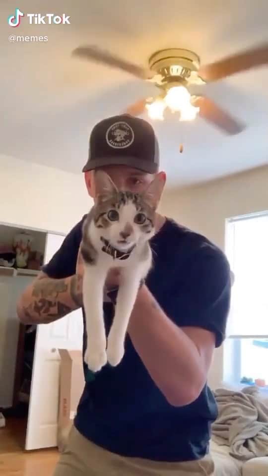 Cute Pets Dogs Catsのインスタグラム