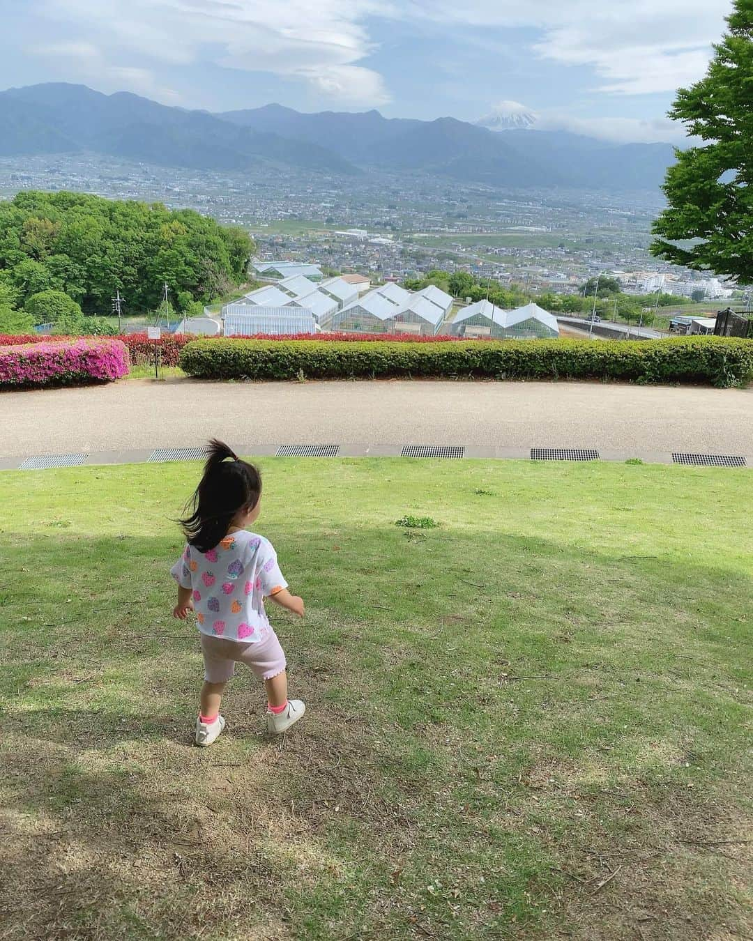 長尾麻由さんのインスタグラム写真 - (長尾麻由Instagram)「いちごが大好きな娘のために 山梨に行っていちご狩り🍓 お友達のいちご姫のよく行くいちご農園さんへ行って来ました！ かおり野、紅ほっぺ、ホワイトベリー、章姫の４種類のいちごをたくさん食べました😋 しかも無農薬で美味しいいちごをこども達にたくさん食べさせてあげれて良かったー✨ リピートしたい場所でした❤️  最後の1枚は帰りに寄ったフルーツ公園の写真⛰  #山梨お出かけ#子連れお出かけ #いちご狩り #無農薬いちご #ゴールデンウィーク」4月29日 21時29分 - mayu_nagao1117