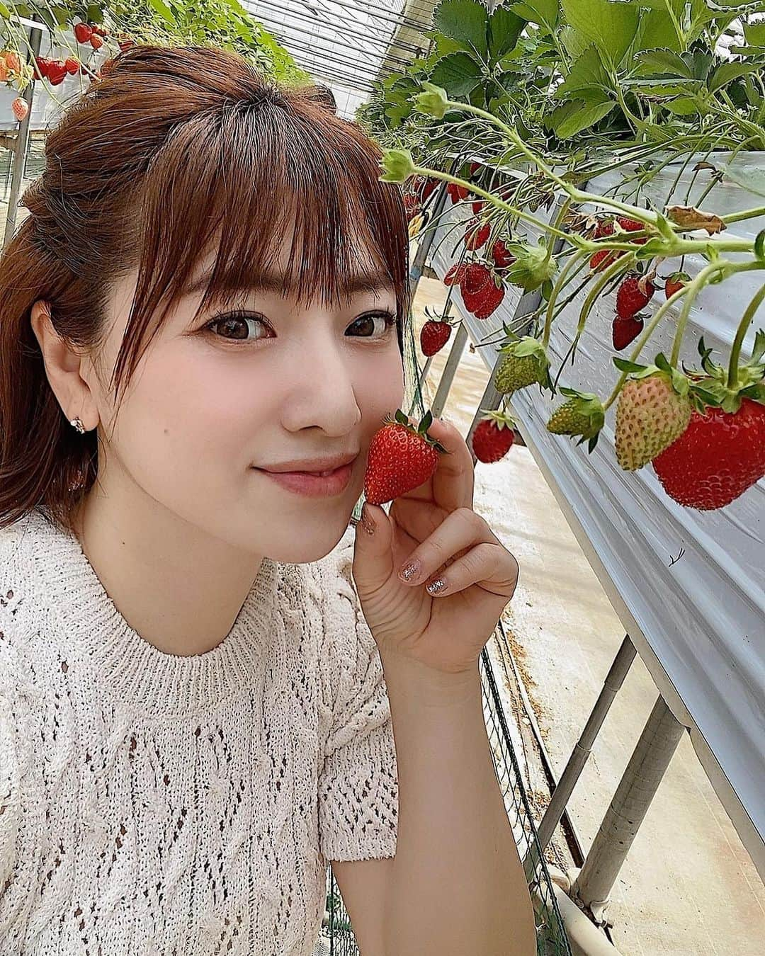 長尾麻由のインスタグラム：「いちごが大好きな娘のために 山梨に行っていちご狩り🍓 お友達のいちご姫のよく行くいちご農園さんへ行って来ました！ かおり野、紅ほっぺ、ホワイトベリー、章姫の４種類のいちごをたくさん食べました😋 しかも無農薬で美味しいいちごをこども達にたくさん食べさせてあげれて良かったー✨ リピートしたい場所でした❤️  最後の1枚は帰りに寄ったフルーツ公園の写真⛰  #山梨お出かけ#子連れお出かけ #いちご狩り #無農薬いちご #ゴールデンウィーク」