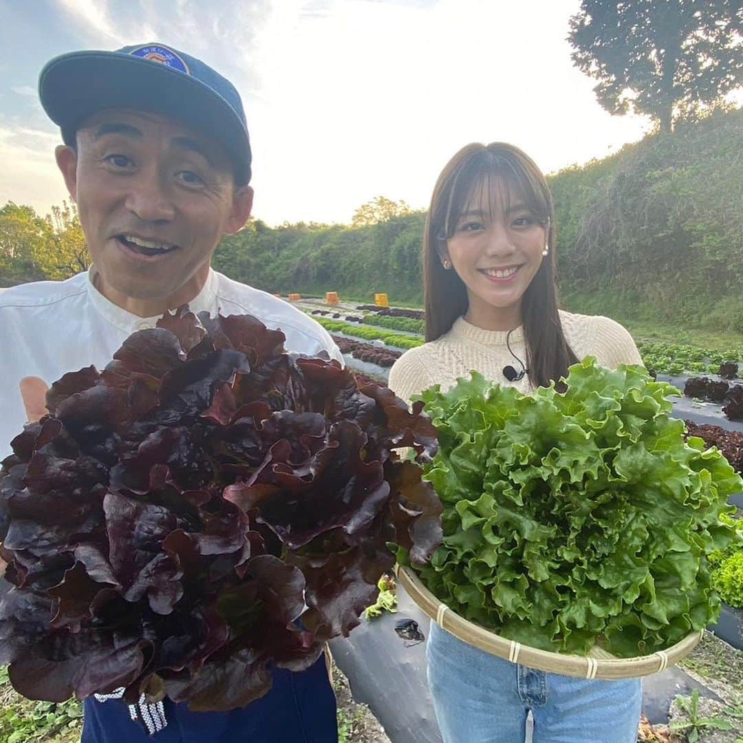 石田靖さんのインスタグラム写真 - (石田靖Instagram)「テレビ大阪❼『発見❗️食遺産』ロケ 奈良県橿原&生駒で ゲストの貴島明日香さんと食遺産探し OAお楽しみに〜👀 #テレビ大阪 #発見食遺産 #橿原グルメ #橿原神宮 #今井町 #重要伝統的建造物群保存地区  #端壮薬品工業株式会社  #おにみみコーラ  #笑夢空 #まっちゃんファーム #生駒グルメ #くろんど池  #高山製菓 #ひらひら農園  #貴島明日香 #石田靖 #一期一笑」4月29日 21時43分 - yasulog