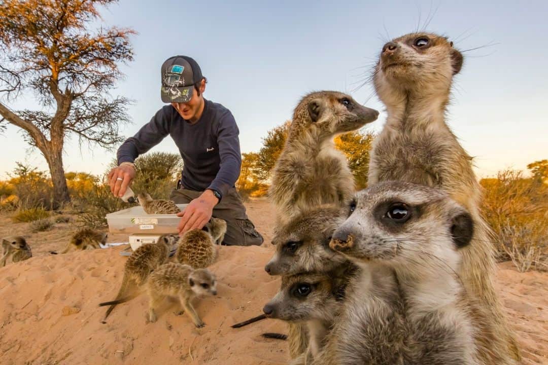 ナショナルジオグラフィックのインスタグラム