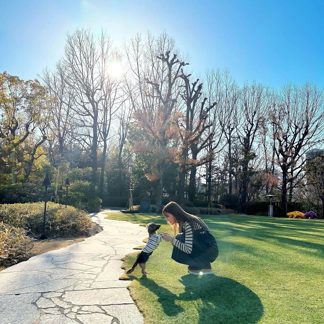 藤川沙弥のインスタグラム：「🐶🤝🏻💚 光のリングに入れた☀️♡ 愛が止まらない🫶🏻」