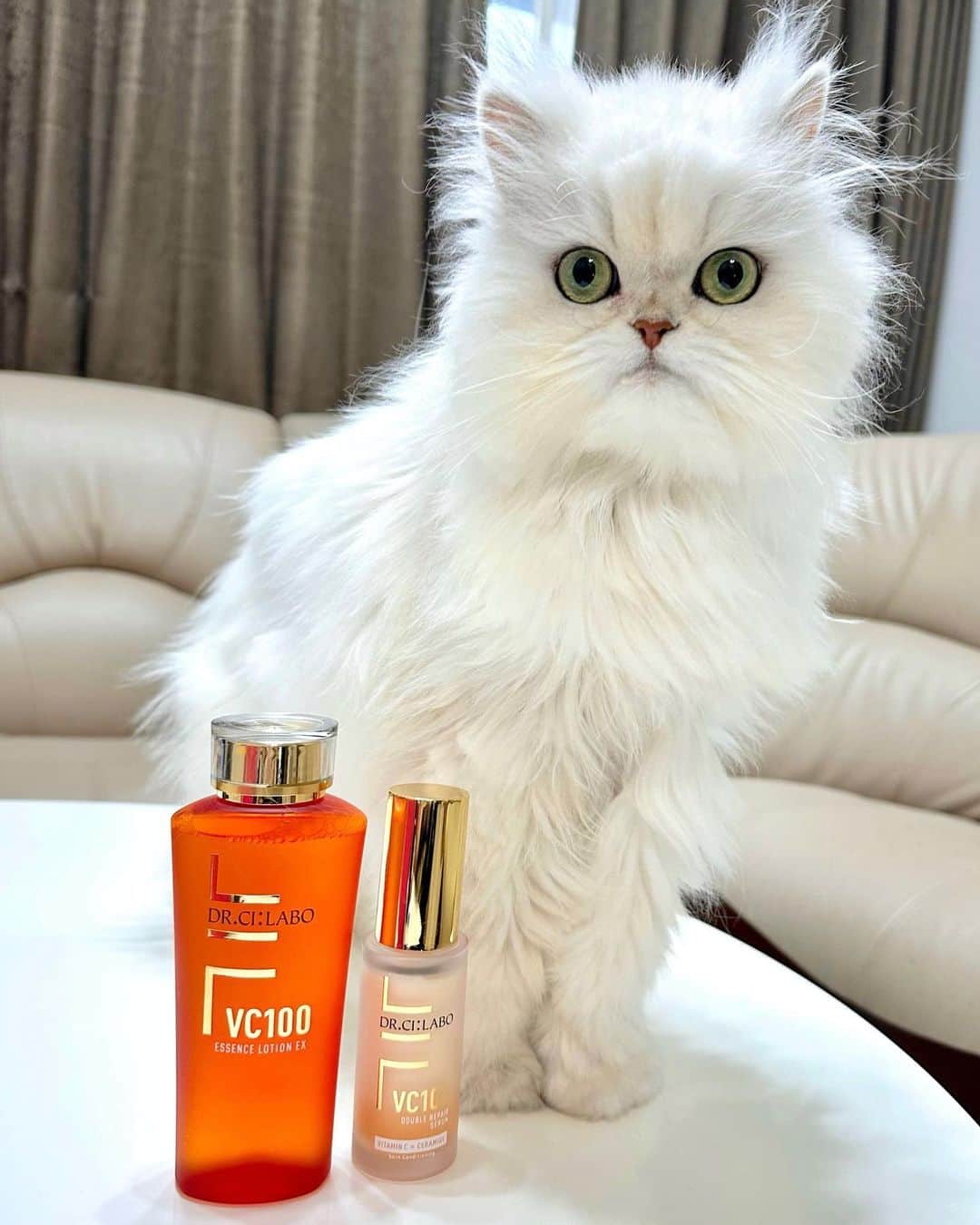 manami☺︎satoのインスタグラム：「𓂃 𓈒𓏸◌  ＼ドクターシーラボのVCシリーズ🍊／  ✅VC100エッセンスローションEX ✅VC100ダブルリペアセラム  このシリーズは長年愛用しています ◡̈♡  毛穴・キメを整えたい方や、ハリ・ツヤ感が ほしい方におすすめ👌🏻 ̖́-‬  美容液は2層になっているので、 よくシェイクしてから使用します◎  ・高浸透セラミド処方でバリア機能をサポート！ ・史上最高濃度のビタミンCを配合  ハリ不足、毛穴、くすみ、肌荒れなどに 悩んでる方へライン使いがおすすめです🙌🏻  どちらも柑橘系の良い香り～🍊  1度使うと人気の理由がわかると思います☺️  -------------------------------- 💐母の日キャンペーン💐  ドクターシーラボ公式サイトで使える ポイントが最大2000ポイント貰える キャンペーンが実施中です♪ (5月9日ご注文分まで) --------------------------------  ▸▸▸ @drcilabo_official  ▸▸▸ @cchannel_lemonsquare   #lemonsquare🍋 #ドクターシーラボ #vc100ダブルリペアセラム #ビタミンc #美容液 #セラミド #透明ツヤ肌 #vc100エッセンスローションex #化粧水」