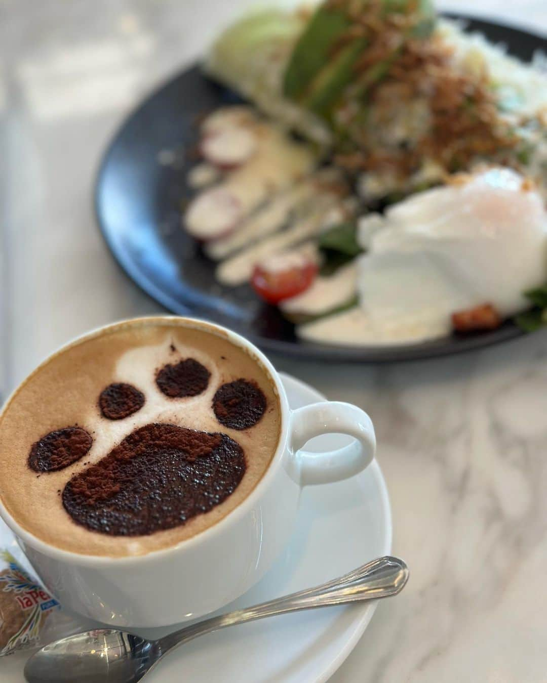 花田浩菜のインスタグラム：「可愛🐶❤️ 本当にここのカフェ好き✨ 今度はチーズケーキも食べたいなぁ🤤 . . . . #cafegitane #東京カフェ #恵比寿カフェ #gitanetokyo #カフェジタン #カフェラテ #ソイラテ #パンケーキ」