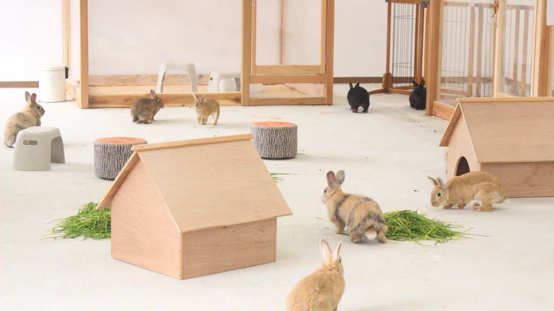 成田ゆめ牧場のインスタグラム