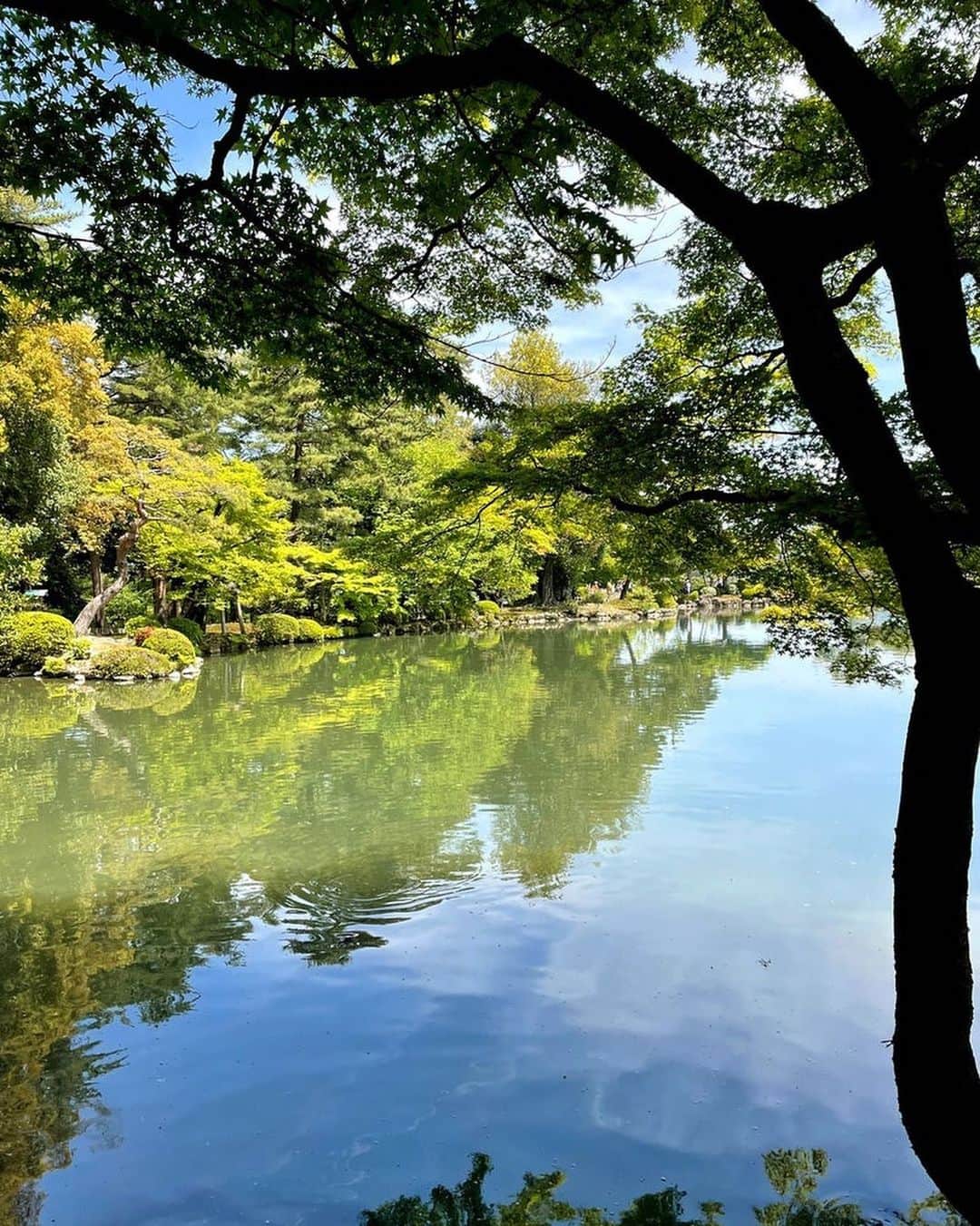 片岡愛之助のインスタグラム：「稽古の前の、愛散歩。 癒されましたぁ  大盛況でした‼️ 歌劇座へお越しの皆様、有難う御座いました‼️  #兼六園 #石川県 #金沢 #風景  #日本は美しい」