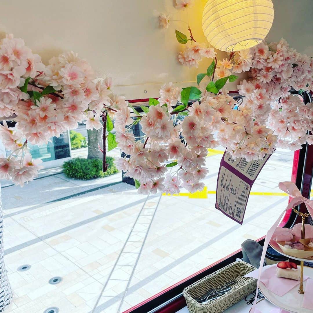 園崎未恵さんのインスタグラム写真 - (園崎未恵Instagram)「友人のお誕生日お祝いに、ロンドンバスでアフターヌーンティーパーティーを。 桜づくしのメニューと装飾、お天気にも恵まれて、春の一日を堪能しました。 #afternoonteabustour❤️🚌  #大橋歩夕」4月30日 0時38分 - miemiemie0207