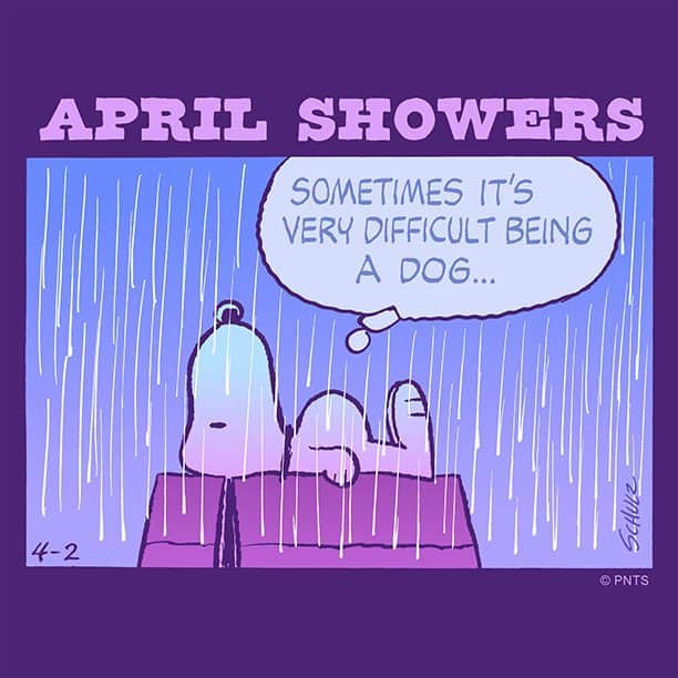 スヌーピーのインスタグラム：「Almost done with April showers」