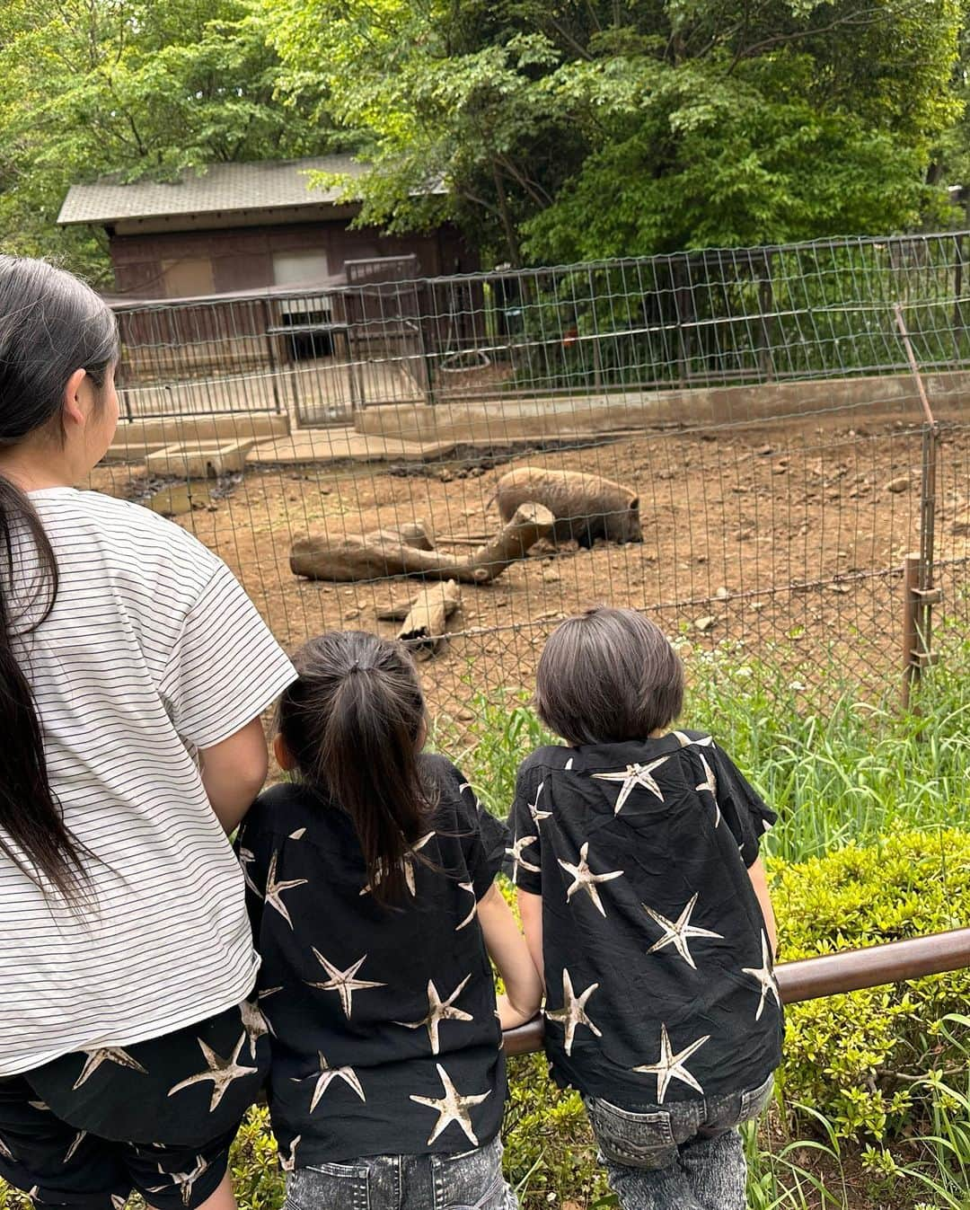 美奈子さんのインスタグラム写真 - (美奈子Instagram)「先日 おちびーず達と動物園へ行ってきました。  小雪がここ最近 動物園に行きたい〜と言ってたので 行けてよかった〜。  久しぶりの動物園楽しかった〜  こうやってお出かけも 人数減ったなあ。  大きい組は 各自色々予定があるから なかなか予定も合わないしね。  ちょっと寂しい。。 この子達は いつまで一緒にお出かけしてくれるのかな。  その時まで 沢山沢山いろんなとこへ 連れてってあげたい。  一緒にいろんなことを楽しみたい。  まだまだ見たことない景色はいっぱいあるからなあ〜。  楽しみだー。  #動物園 #おちびーず #れんとはおちびーずじゃない #って怒られそう #楽しかった」4月30日 17時22分 - minako_official