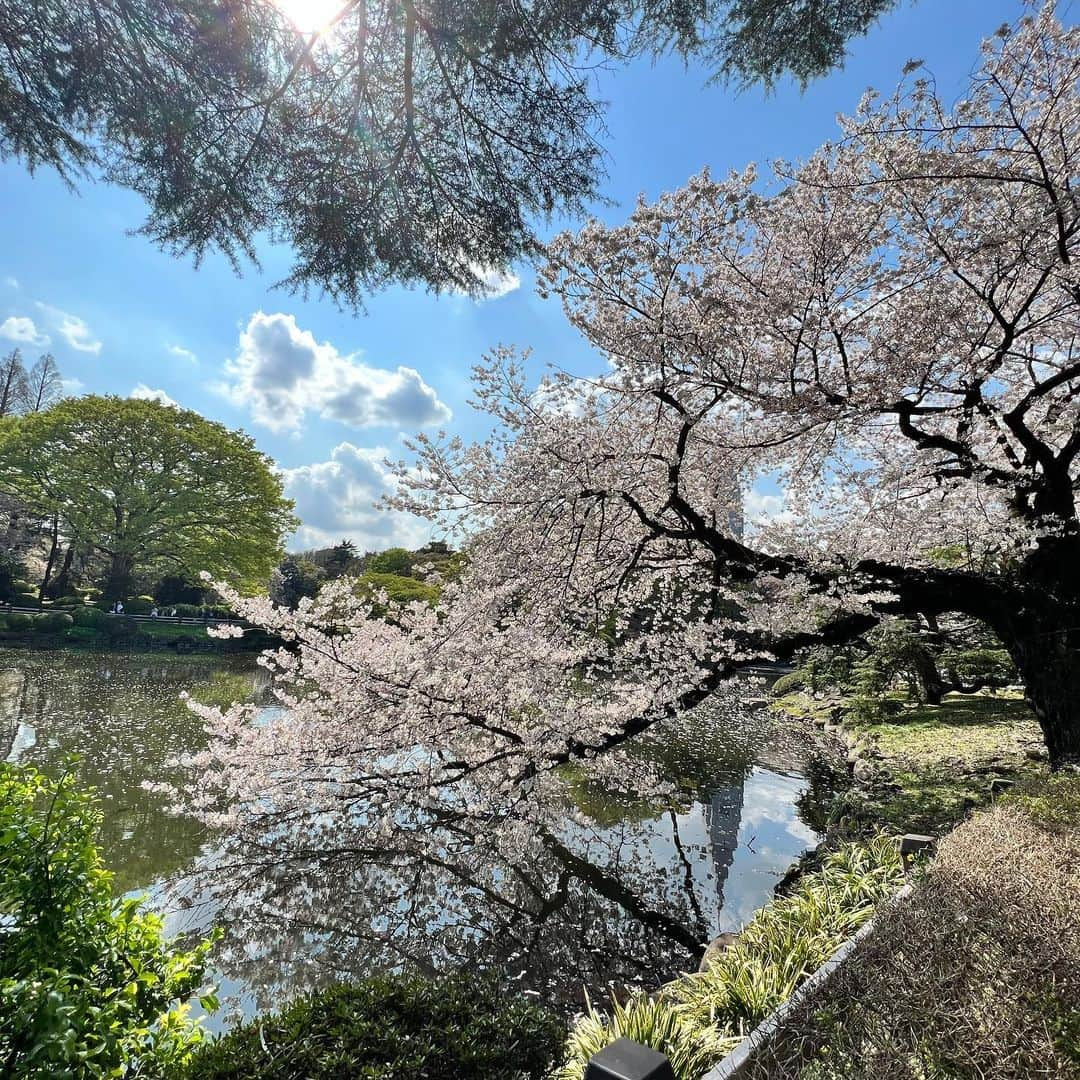 宮崎理奈さんのインスタグラム写真 - (宮崎理奈Instagram)「4月もありがとうございました。 桜の写真を載せそびれていたので…  個人的に4月は環境がガラリと変わり、全て自分次第となったことで、責任や使命を沢山感じた1ヶ月でした。  難しくて挫けかけたり、上手くいかなかったり、手探りの中で、手を差し伸べて下さる方への感謝と申し訳なさと、色んな感情でいっぱいでした…  こう見えて真面目なので🤪  とにかく今は手を差し伸べて下さった方へ1日でも早く恩返しができたらなと… そして応援してくださる方が、「なんか面白いことしてるなぁ」って常に思って頂けるように、追求していきたいと思います🎊  だから、私のこと忘れないでね😂  5月は地元福岡で面白いこと沢山出来そうでワクワクです🍙 福岡の方にも愛される努力をするぞ！！  では！ 今後ともよろしくお願いします🙇‍♀️  📷 @bao48  . . . . #4月 #4月もありがとうございました #5月も宜しくお願いします」4月30日 17時53分 - rina.miyazaki0221