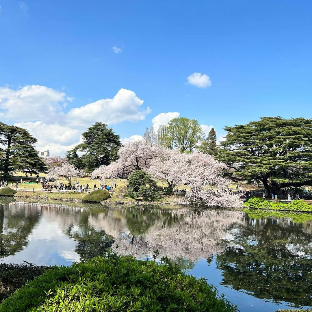 宮崎理奈さんのインスタグラム写真 - (宮崎理奈Instagram)「4月もありがとうございました。 桜の写真を載せそびれていたので…  個人的に4月は環境がガラリと変わり、全て自分次第となったことで、責任や使命を沢山感じた1ヶ月でした。  難しくて挫けかけたり、上手くいかなかったり、手探りの中で、手を差し伸べて下さる方への感謝と申し訳なさと、色んな感情でいっぱいでした…  こう見えて真面目なので🤪  とにかく今は手を差し伸べて下さった方へ1日でも早く恩返しができたらなと… そして応援してくださる方が、「なんか面白いことしてるなぁ」って常に思って頂けるように、追求していきたいと思います🎊  だから、私のこと忘れないでね😂  5月は地元福岡で面白いこと沢山出来そうでワクワクです🍙 福岡の方にも愛される努力をするぞ！！  では！ 今後ともよろしくお願いします🙇‍♀️  📷 @bao48  . . . . #4月 #4月もありがとうございました #5月も宜しくお願いします」4月30日 17時53分 - rina.miyazaki0221