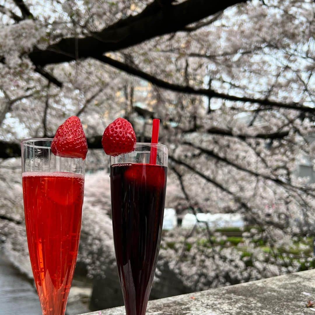 宮崎理奈さんのインスタグラム写真 - (宮崎理奈Instagram)「4月もありがとうございました。 桜の写真を載せそびれていたので…  個人的に4月は環境がガラリと変わり、全て自分次第となったことで、責任や使命を沢山感じた1ヶ月でした。  難しくて挫けかけたり、上手くいかなかったり、手探りの中で、手を差し伸べて下さる方への感謝と申し訳なさと、色んな感情でいっぱいでした…  こう見えて真面目なので🤪  とにかく今は手を差し伸べて下さった方へ1日でも早く恩返しができたらなと… そして応援してくださる方が、「なんか面白いことしてるなぁ」って常に思って頂けるように、追求していきたいと思います🎊  だから、私のこと忘れないでね😂  5月は地元福岡で面白いこと沢山出来そうでワクワクです🍙 福岡の方にも愛される努力をするぞ！！  では！ 今後ともよろしくお願いします🙇‍♀️  📷 @bao48  . . . . #4月 #4月もありがとうございました #5月も宜しくお願いします」4月30日 17時53分 - rina.miyazaki0221