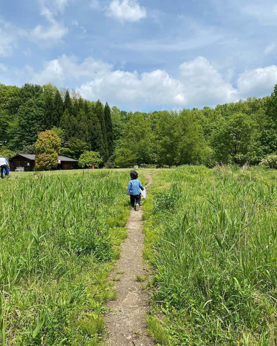 滝川クリステルのインスタグラム：「GW、みなさんいかがお過ごしですか？⛰😊 我が家は昆虫を探す旅。 そんな中、東京では絶滅危惧種に指定されていて、地方では準絶滅危惧種に指定されている コカブトムシを発見😌 もちろん持ち帰れないので、息子はちゃんと木の中に戻してあげていました^_^ さあ、次はどんな出逢いかな、、✨ #群馬昆虫の森  #こかぶとむし  #見つけたのは旦那さま😂 #滝川クリステル #コカブトムシ」