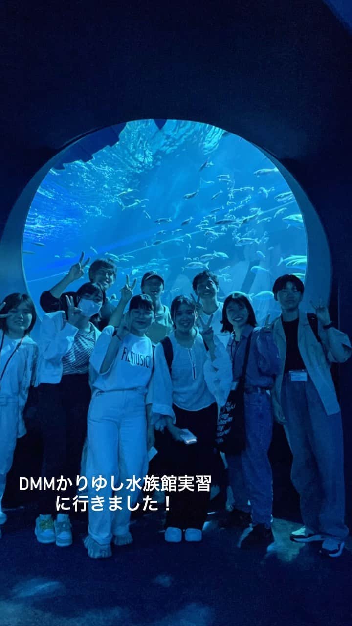大阪ECO動物海洋専門学校のインスタグラム：「.  🐠💕沖縄実習🫧💦  ドルフィントレーナー専攻の学生が沖縄実習で、DMMかりゆし水族館に行ってきました！  支配人や現場で活躍している卒業生のお話をたくさん拝聴することができました✨✨ 今回、現場の方に聞いたお話しや学んだ知識を今後の学生生活や実習に活かして頑張ってください😉  #大阪eco動物海洋専門学校#大阪eco  #動物専門学校 #動物園動物飼育専攻 #動物飼育 #動物園 #水族館 #飼育員 #ドルフィントレーナー #アクアリスト #動物看護師 #トリマー #ドッグトレーナー#動物好きと繋がりたい#犬好きと繋がりたい」