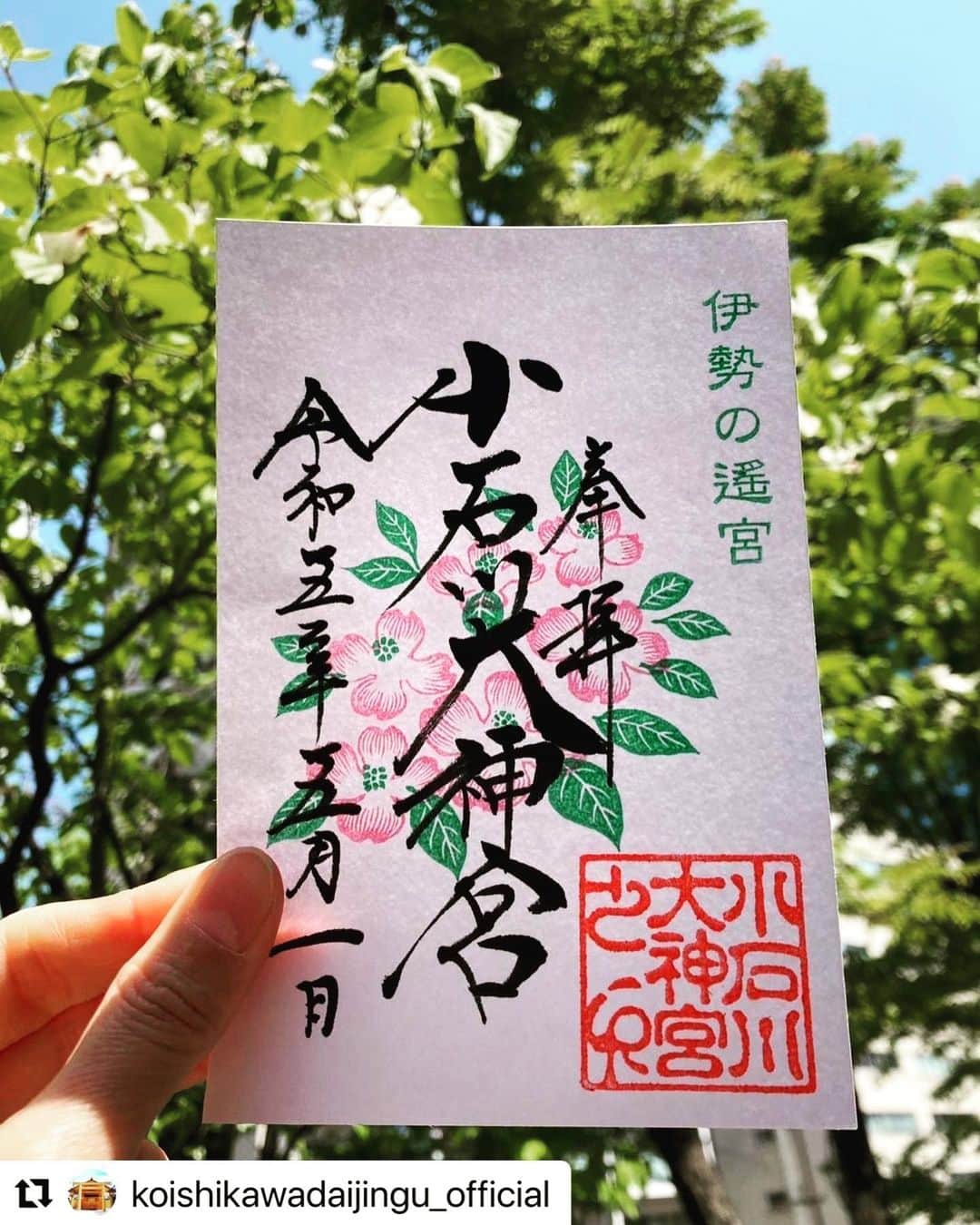 津久井智子のインスタグラム：「#小石川大神宮  5月の御朱印はハナミズキです😊  #Repost @koishikawadaijingu_official with @use.repost ・・・ 🌿 こんにちは 小石川大神宮です  明日5月1日(月)より頒布いたします 月替り御朱印のご紹介です😊  月替り御朱印は4月から5月へと向かう 新緑の季節にみずみずしい花を咲かせる ハナミズキの判子を彫っていただきました✨  月替り見開き御朱印は可愛らしい こどもの日のイラストです🎏🎨  皆様のご参拝お待ちいたしております」