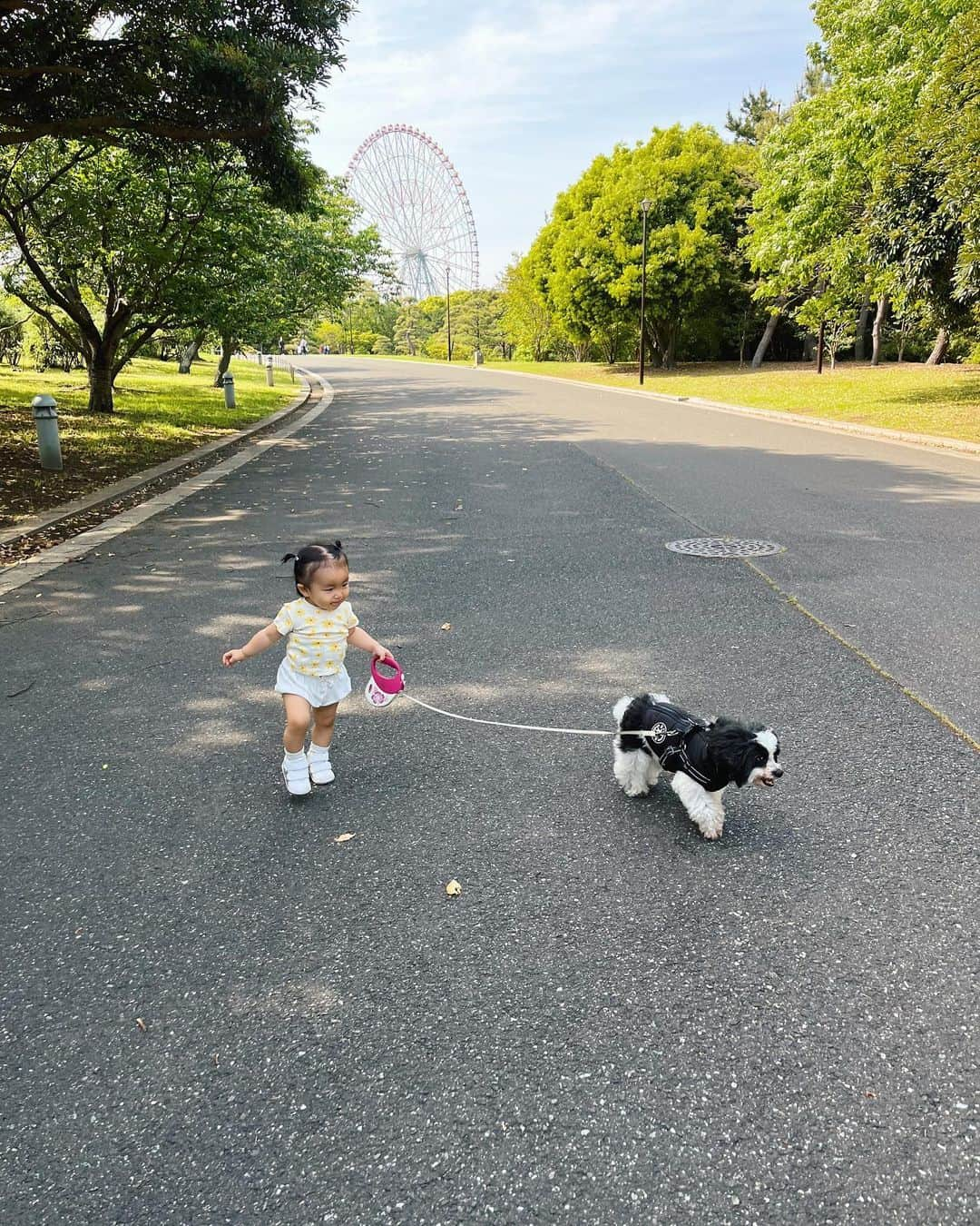 愛菜のインスタグラム