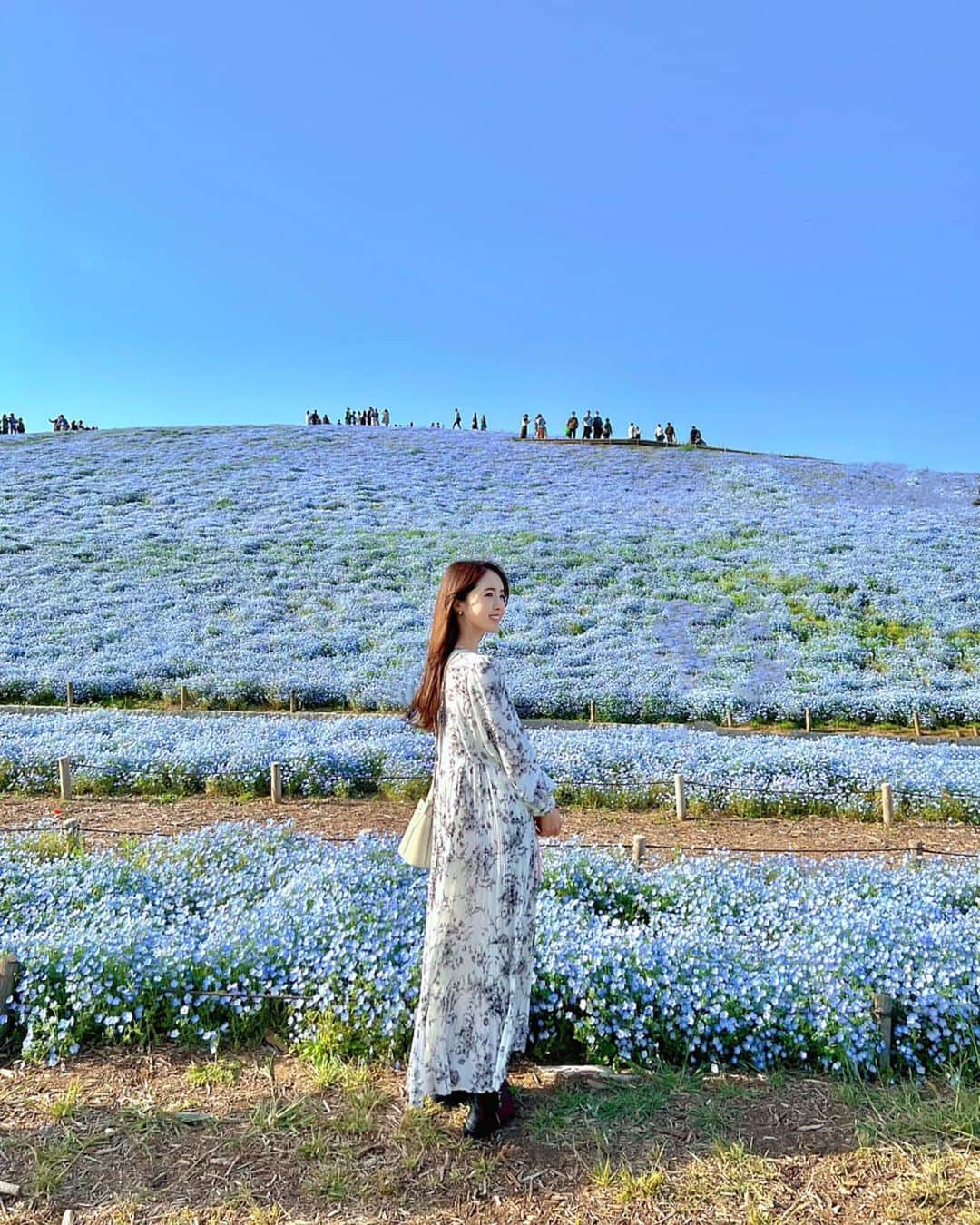 林希乃花のインスタグラム：「青い空に青いネモフィラ🦋 とても綺麗でした🫶🏻  2枚目（笑） 撮ってたら割り込んできた😂  #国営ひたち海浜公園 #gwお出かけスポット #子連れ旅行 #子供とお出かけ部 #子連れお出かけ #ネモフィラの丘 #お花畑 #遊園地」