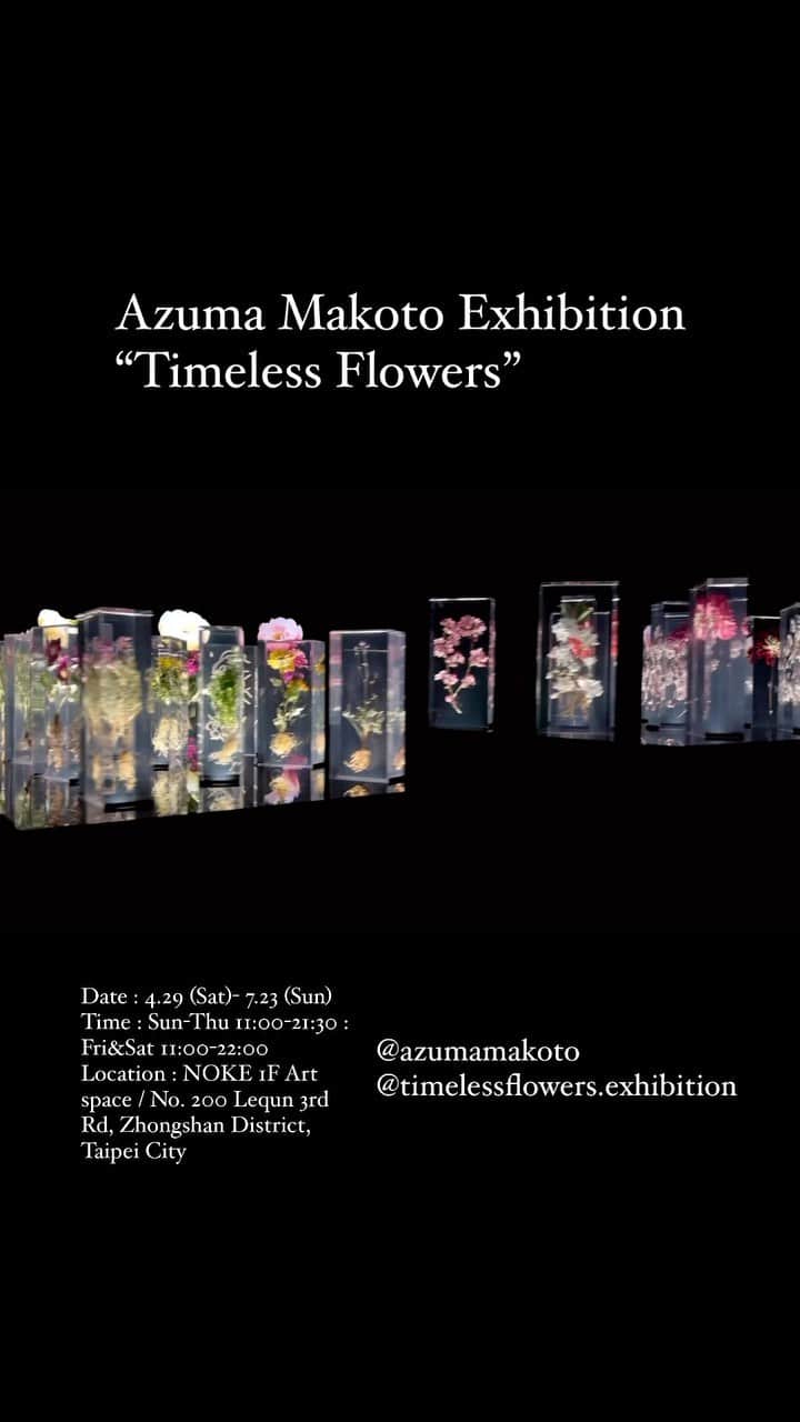 椎木俊介のインスタグラム：「Azuma Makoto Exhibition “Timeless Flowers”  Date : 4.29 (Sat)- 7.23 (Sun) Time : Sun-Thu 11:00-21:30 : Fri&Sat 11:00-22:00 Location : NOKE 1F Art space / No. 200 Lequn 3rd Rd, Zhongshan District, Taipei City @azumamakoto @timelessflowers.exhibition #azumamakoto #amkk #timelessflowers #aabt #東信展繁花時敘 #東信 #東信花樹研究所 #明日製作所 #台湾」