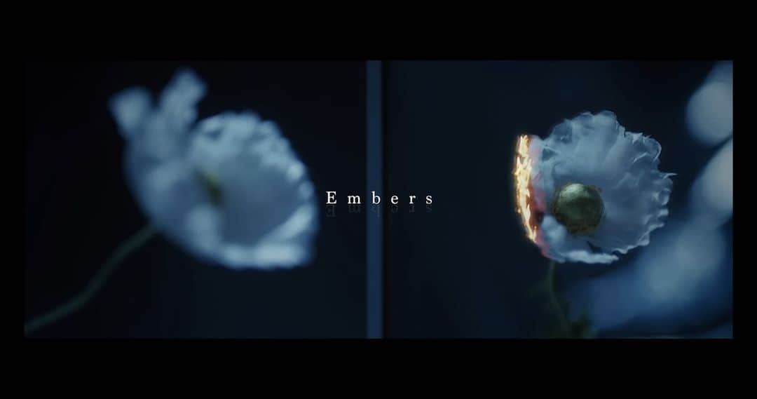 石崎祥子さんのインスタグラム写真 - (石崎祥子Instagram)「ODDLORE Embers Musicvideo」4月30日 12時58分 - sykdisco