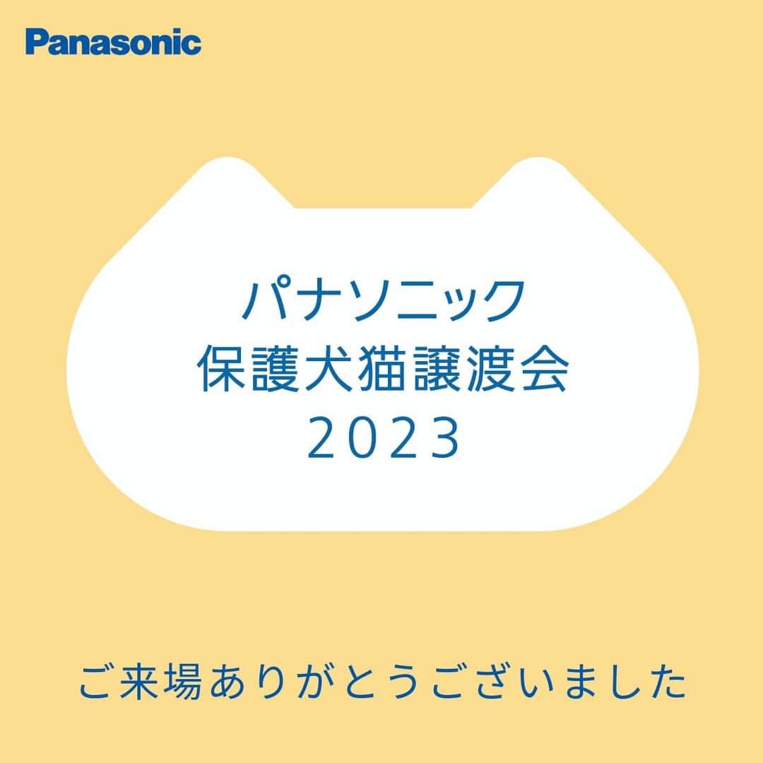 Panasonic ふだんプレミアムのインスタグラム：「#パナソニック保護犬猫譲渡会ご来場いただきありがとうございました！  多くの応援のお声をいただき、とても光栄に思っております。​  ご参加の動物保護団体の皆様を始め、賛同して下さった方々に御礼申し上げます。​  これからも皆さんと一緒に、保護犬・保護猫のためにできることを取り組んでまいります。」