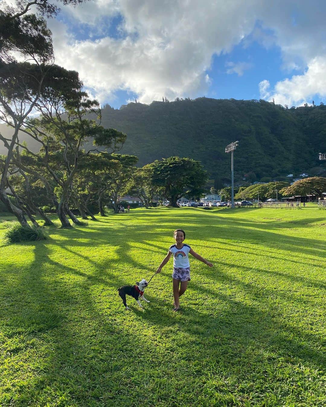 工藤まやのインスタグラム：「今週一度も散歩に連れていってなかったら、昨日予約を入れられた。  Manoa in the evening is majestic.  #チョン散歩 #クロエのママから予約がきた #ハワイ #hawaii #saturday #manoavalley #マノアの民生委員やってます」
