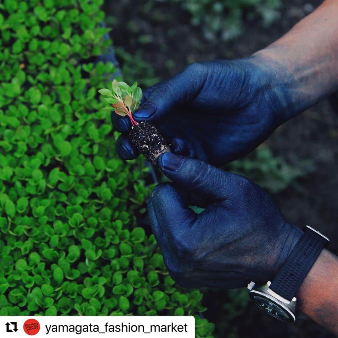 コーヘンさんのインスタグラム写真 - (コーヘンInstagram)「#Repost @yamagata_fashion_market with @use.repost ・・・ ⁡ YAMAGATA FASHION MARKET #1 ⁡ 山形にゆかりのあるブランド/ショップ、東京よりBULLPEN、徳島よりWatanabe‘sをゲストブランドとしてお招きして、山形の面白いもの、カッコいいもの、カワイイもの、美味しいものを楽しむファッション蚤の市を初開催いたします。 ⁡ ⁡ 開催日時 2023年5月13日(土) 10:00-17:00 ⁡ ⁡ 開催場所 Yonetomi STORE前駐車場にて(駐車場あり)  〒990-0301山形県東村山郡山辺町大字山辺1136 @yonetomistore ⁡ ⁡ ＊悪天候時はYonetomi STORE内および米富繊維株式会社社屋内にて開催します。 ⁡ ⁡ 出店ブランド/ショップ 米富繊維株式会社(服) @yonetomiseni  @coohem  @thisisasweater  ⁡ この山道を行きし人あり(雑貨) @konoyamamichi  ⁡ Caro(古着) @caro_store__  ⁡ 株式会社天童木工(家具) @tendo_mokko  ⁡ Day & Coffee(コーヒー) @dayandcoffee  ⁡ MiNiMUM(焼き菓子) @minimum_oven  ⁡ HAVE A GOOD SLICE(ピザ) @haveagoodslice  ⁡ BULLPEN(雑貨) @bullpenshop  ⁡ Wanatabe‘s(藍染) @watanabes_japan  ⁡ ⁡ ＊写真はイメージです。当日、販売/提供する商品と一部異なる場合があります。 ⁡ ⁡ ⁡ 皆様のご来場、お待ちしております！ ⁡ ⁡ ⁡ #YAMAGATAFASHIONMARKET #ヤマガタファッションマーケット #ファッション蚤の市 #山辺町 #山形」4月30日 13時53分 - coohem