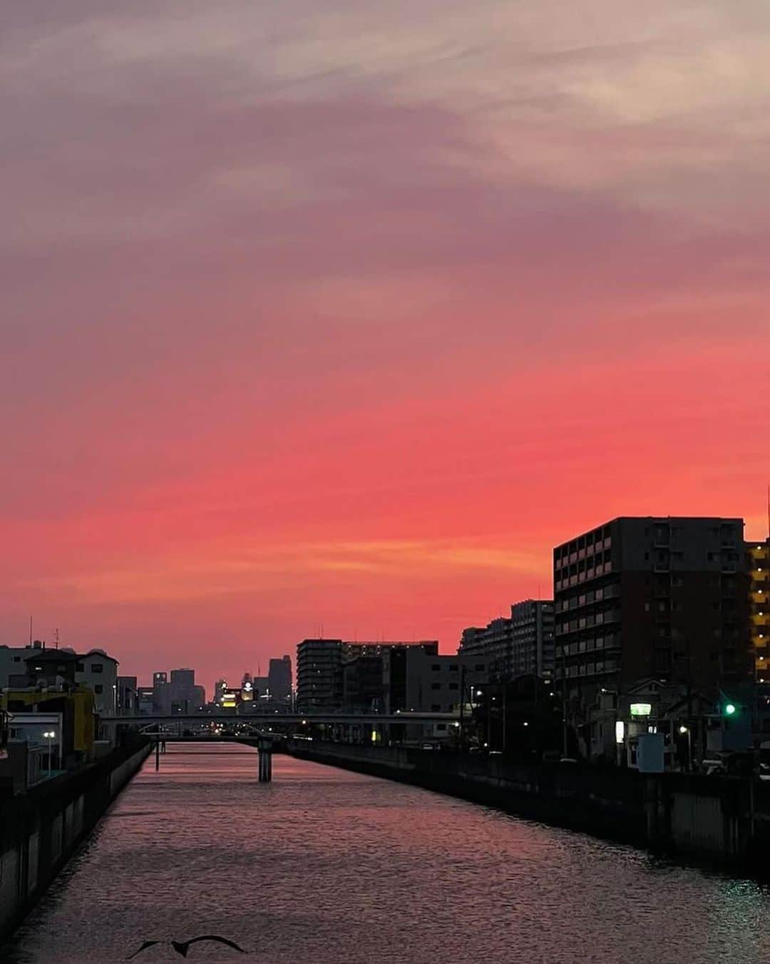 平木愛美さんのインスタグラム写真 - (平木愛美Instagram)「東京では桜がひらひらと舞い、 大阪では満開の快晴な日  祖父が天国へ旅立ちました。  大好きな大好きな大好きな、じいじ。  いつもにこにこ笑顔で 本当に誰よりも優しくて。朗らかで。穏やかで謙虚で。 私が産まれた頃からずーっとずーーーっとたくさんの愛情をもらったなあ  とつぜんの出来事で、現実味がないような。 でもふと、涙が溢れる。  "ママ、なんでないてるの？"  と  でもそこから色々なお話や、お葬式や一緒に経験をして "おっきいじいじ、おそらにいっちゃったから" "みんなないちゃったね" "おーそらから まもってくれてるんだよー！" "おはないっぱいいれたねえ"  と。べびまるも命、をすこし、理解したのかもしれない。  じぃじばぁばじいちゃんばあちゃん、 私は皆んなにとっての初孫で。 やっぱり、長く、とっっっても愛たっぷりに可愛いがってもらって。ちっちゃい頃からの思い出はたくさん。  じぃじばぁばは大阪でご近所で。いっぱい遊びに行ったなぁ ちっちゃい頃にはじぃじのおうちで たくさん絵を描いて、はさみでちょきちょき作品をつくって いつもなんでも褒めてくれて。 一緒にオセロして将棋して。毎年お祭りにでかけて。 usjも大好きだったパワフルなじぃじ。  キッズモデルの、雑誌の表紙もリビングに額に入れてずっと飾ってくれてて。 大人になってからの雑誌もいつも必ずgetしてくれて。  SNSもチェックしてくれて。笑 いつも応援してくれてた。 . . . じいじはずっと元気いっぱいで。 まさか最後になるなんて、思ってもいなかったけど "会える時に会おう" といつも大阪に帰る度には必ずじぃじばぁばに会って、  たまたまじぃじが倒れてしまうきっかけの出来事の数日前、２月に大阪で会えてたの。 その日の私やべびまると写るじぃじの笑顔の写真がとっっっても良い笑顔で。遺影にもなって。  あぁ、あの時会えて、本当に良かったなぁ🌸  と。それだけは本当に後悔がなく！  楽しみにしてた "曾孫" も、べびまるも初ひ孫で。じぃじに曾孫を繋げられて。何度も会えて。ビデオ通話も日々これまで何度も何度もしたり、さらに第二子の報告もできて。喜んでくれていて。  本当は もうすぐの誕生も、babyにも、会って抱っこしてほしかったけれど。  きっと今はお空から。大阪にいた頃よりもきっと側で、見守ってくれてるだろうなぁ、と。  お別れの日のお空、凄く綺麗な色だった。 . . . いつかのバイバイの時にぎゅっと、ハグをした時少し照れながら 嬉しそうなじぃじの表情を、覚えてる。  心から 大きな愛をありがとう。  ほんまにありがとう。  みんなに愛される、最高のじぃじでした！！！！！ きっと幸せな人生だったんだろうなぁ。  命をありがとう、これからまたすぐ、babyとともに出産をがんばって、命を繋げるね。 またいつか、お空でぎゅーっ！と、しようね！！！」4月30日 14時02分 - manamihiraki