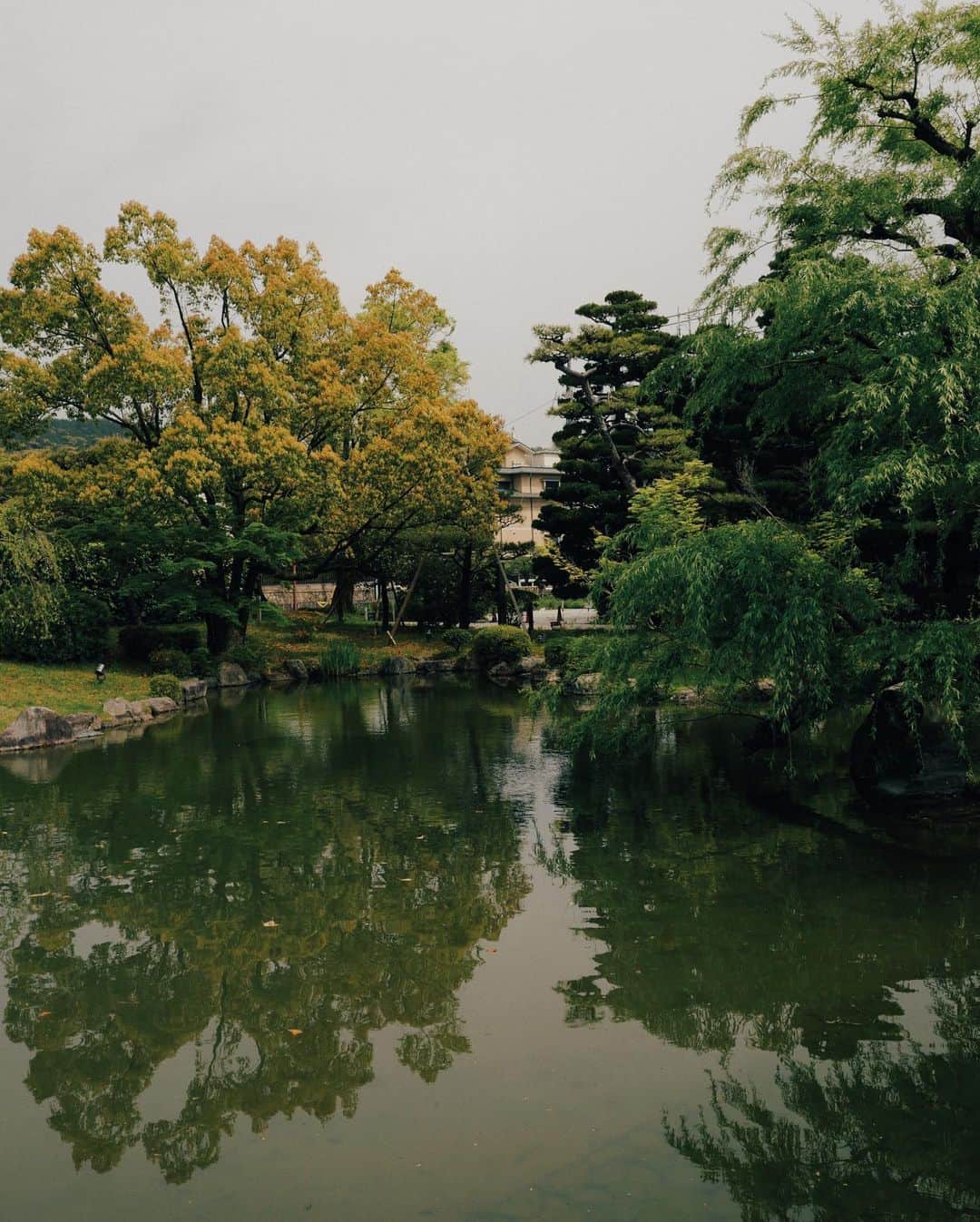 徐琁さんのインスタグラム写真 - (徐琁Instagram)「本人超級美的美術館 展覽也很值得看！ 如果住fufu Kyoto走路3分鐘就可以到 散步去逛美術館超讚啦～ #cosinkyoto🌸」4月30日 14時04分 - cos55555