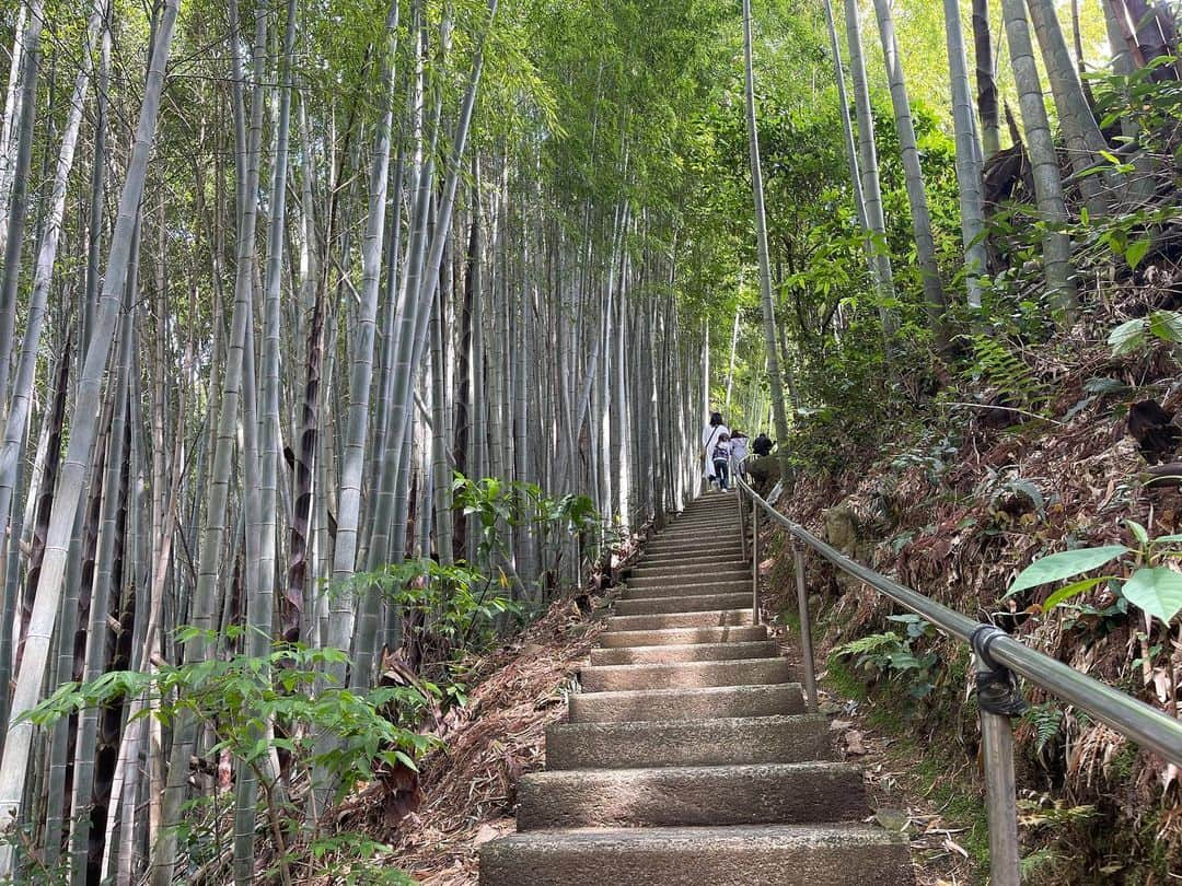 鷹木信悟さんのインスタグラム写真 - (鷹木信悟Instagram)「自然のパワーを沢山頂いたので気持ちを新たに今日から頑張ります...🙏 #熊本 #DRAGON #八大龍王 #prowrestler」4月30日 14時55分 - takagi__shingo