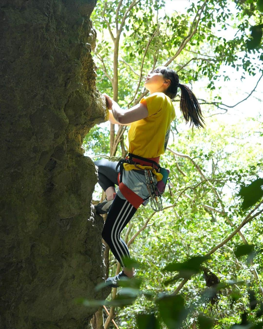 大場美和さんのインスタグラム写真 - (大場美和Instagram)「🌿  📸 @hibiki_miyazawa  @ue_climbing  @cogworkscoltd   #小豆島 #クライミング #adidas #pamo #浜崎治療院」4月30日 15時29分 - miwa_oba