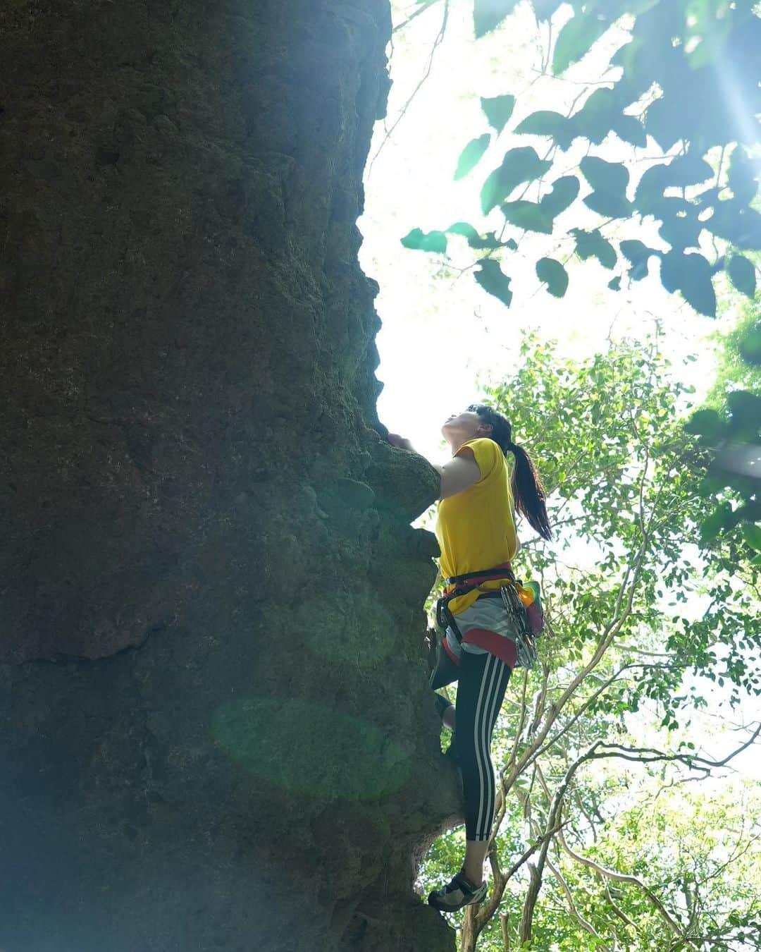 大場美和のインスタグラム：「🌿  📸 @hibiki_miyazawa  @ue_climbing  @cogworkscoltd   #小豆島 #クライミング #adidas #pamo #浜崎治療院」