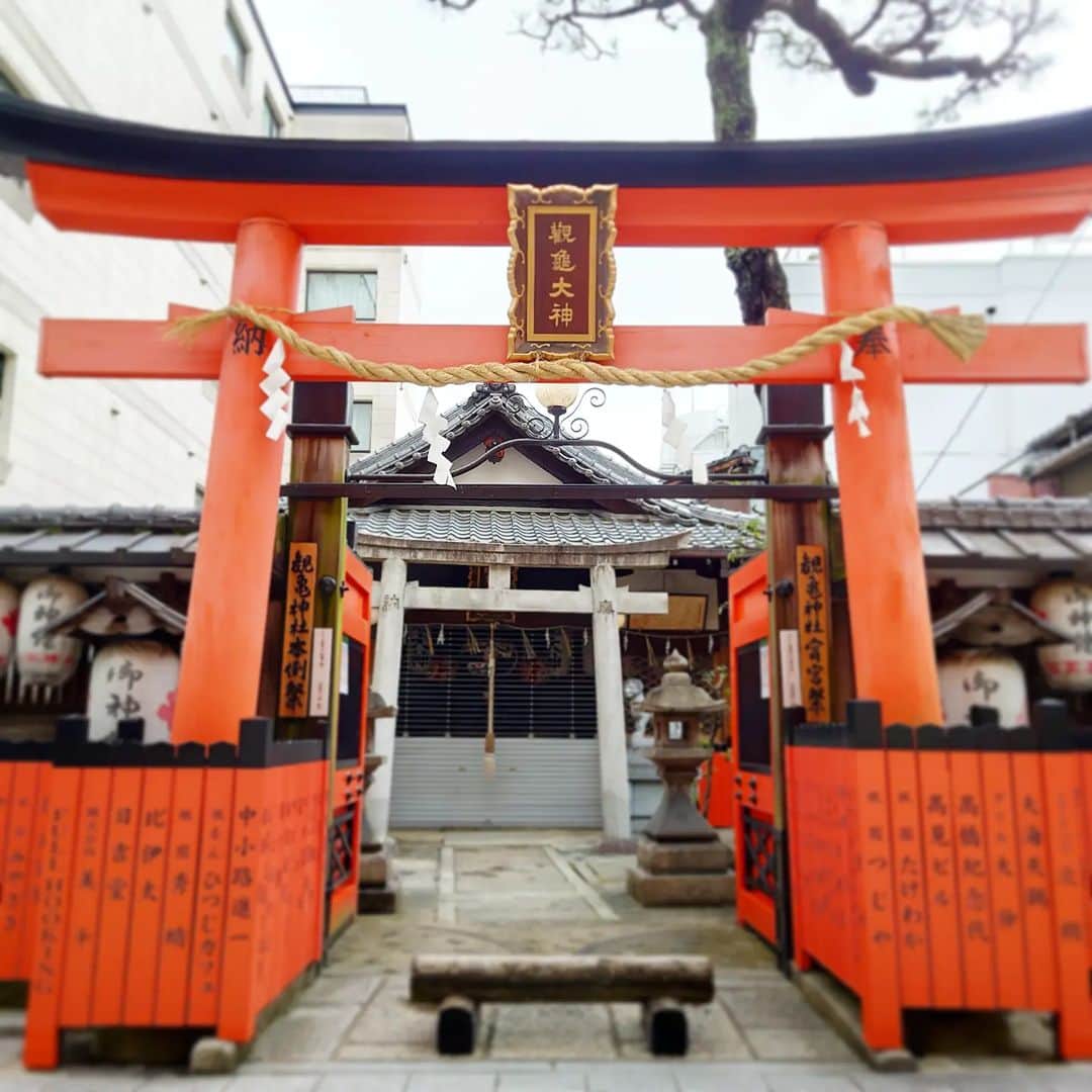 高井俊彦のインスタグラム