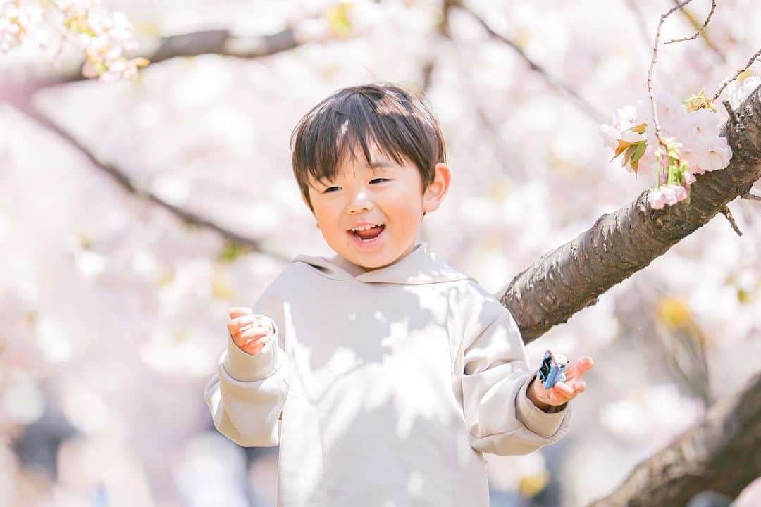 渡辺順子さんのインスタグラム写真 - (渡辺順子Instagram)「ヤエザクラが圧巻だった🌸 #過去pic   今年はソメイヨシノの開花が早かったから 満開の桜は楽しめないのかなぁ…  って思いながら訪れた 新宿御苑(4月上旬) 満開の #ヤエザクラ が咲き誇っていて ため息でるほど綺麗だった🌸 𓂃𓈒𓏸  新宿御苑には 早咲きと言われる2月中旬頃から咲き始める桜から 4月中旬頃に咲く桜まで 約65種の桜があるそうな😳  @shir0hac0 さんに #ファミリーフォト撮影 をお願いしました いつも素敵なお写真ありがとうございます🩷  3歳になって怪獣っぷりに 拍車がかかってる👦🏻の 笑顔の引き出し方、あしらい方はさすが過ぎた～👏  長い期間桜を楽しめるなら 来年は年パス買って 👦🏻のお散歩ついでに通い倒そうかと 真剣に考えてる今日この頃 なのでした🌸🌸  #桜 #新宿御苑 #春の風物詩 #親子写真 #親子モデル #3歳男の子ママ #３歳男の子 #男の子服 #むすこらぶ #親子リンク #sakura #shinjukugyoen #familyphotography #東京桜スポット」4月30日 15時39分 - nabejun_room