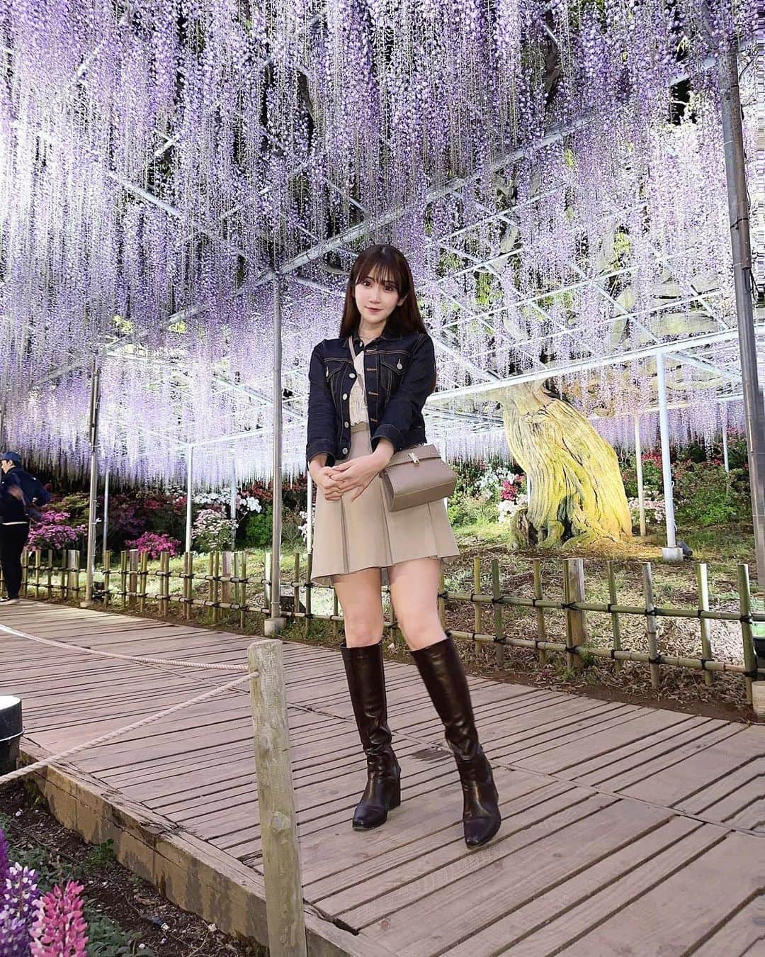 五十嵐茉優さんのインスタグラム写真 - (五十嵐茉優Instagram)「#まうしふく 🕊💜  jacket  #macphee  tops&boots  #grl  skirt  #freesmart  bag  #celford   パパのカメラスキルに感謝な写真🤳笑 頼まなくてもいつもしっかり 煽って撮ってくれます😂  この間載せたパパ撮の投稿がいいね多くて パパが喜んでました🙃💫  #きょコ #いつコ #全身コーデ #全身 #マカフィー #グレイル #フリーズマート #セルフォード #あしかがフラワーパーク #藤 #あしかがフラワーパークイルミネーション #お花見 #お花見コーデ」4月30日 19時00分 - mau08us