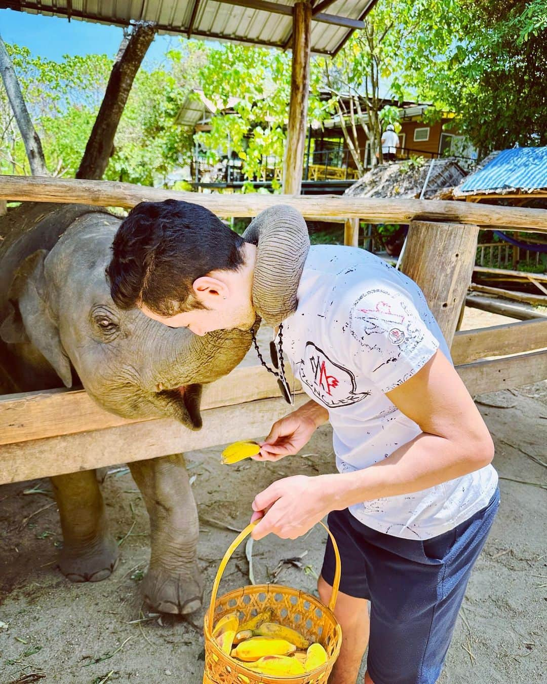 シャフィク・ベセギエのインスタグラム：「🐘❤️🍌🇹🇭」