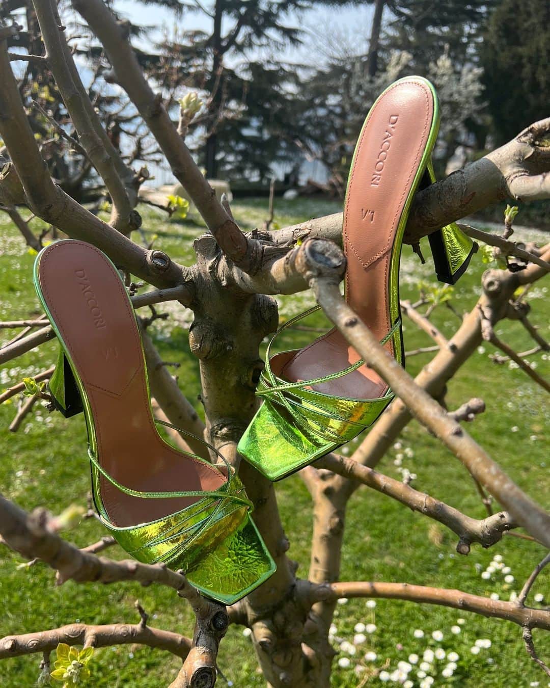 Harrodsのインスタグラム：「D’accori’s signature conical heels may be lawn-proof, but we do not advise attempting to climb trees in metallic mules this social season 🌳 Tap to shop now.  Location: @‌passalacqualakecomo @abercrombiekent  #Harrods #HarrodsFashion」