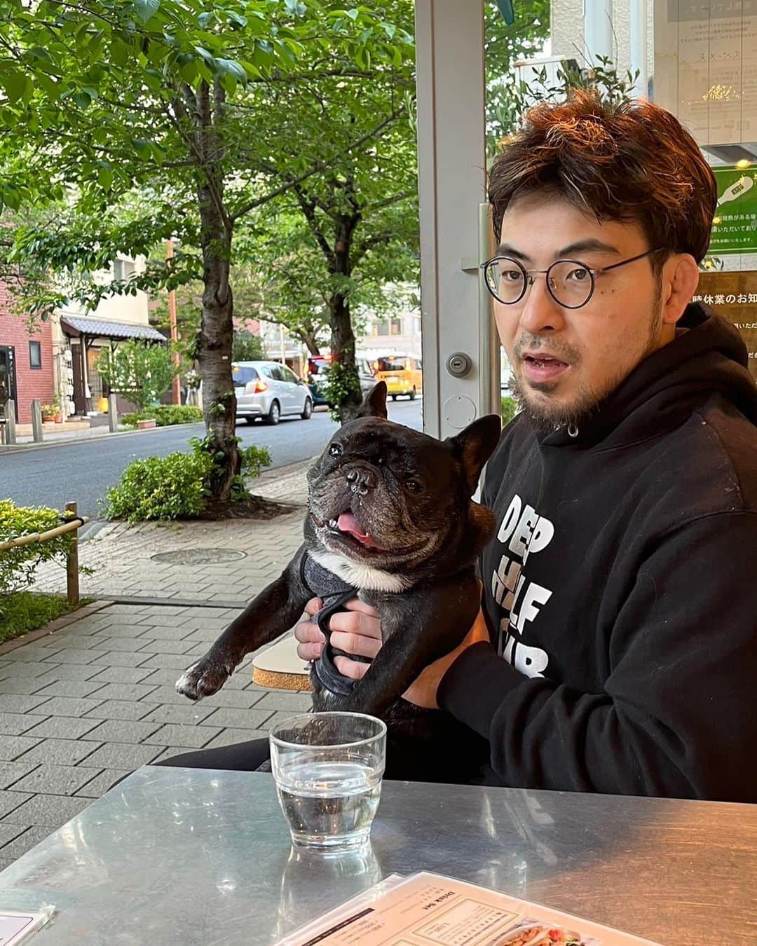 岩﨑正寛さんのインスタグラム写真 - (岩﨑正寛Instagram)「俺に似てきたな @frenchbulldog_unagi」4月30日 17時09分 - masahirocdbjj