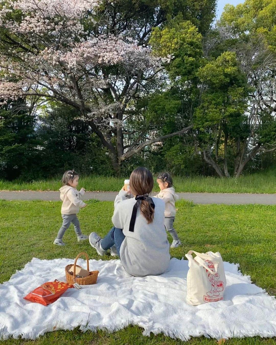 NANAさんのインスタグラム写真 - (NANAInstagram)「🧺🌱  テイクアウトしてタネタネと公園ピクニック！ この日もたくさん走り回った🏃🏻‍♀️ 最近は気付くと何だか朝からずっと立っている🕴笑  そんなドタバタした日常でも美容は効率よく取り入れたく...🤝🏻😅✨ 工夫しながら過ごしているのだけど、今までとは違った意味で身体に取り入れたいプロテインに出会ったのでシェアハピ✍🏼💓  @clever_protein_official コラーゲンペプチドとヒアルロン酸も配合されているので、肌にハリや潤いを与えてくれて関節の動きをなめらかにしてくれる働きまである(！) クレバーのコラーゲンプロテインを、朝のヨーグルトに混ぜたりして取り入れています🥣 なんと無味無臭だから、料理でもいいしお茶とかに混ぜたりしても美味しく飲めるんですっ♡ 日常にサラッと取り入れられるのが嬉しい！ ほんとにこんなのが欲しかった。。🥹🫶🏻 健康のために家族で取り入れていきたいなぁと思っています🫗  #cleverprotein #clever #pr #クレバープロテイン #クレバー #プロテイン #理想のカラダへクレバーな選択 #コラーゲンペプチド #コラーゲン #美容 #コラーゲンプロテイン」4月30日 22時00分 - nanappeee