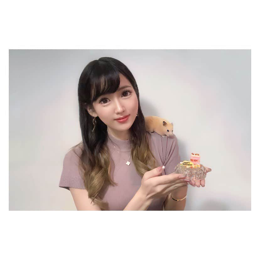 有馬奈那のインスタグラム：「Happy 2nd Birthday 🐹🎉 . 今年もハムスターでも食べれるケーキを好きなおやつ達で手作りしてハム様のお誕生日お祝いしたよ🎂💕 . 一瞬でバナナのバースデープレートが丸ごと頬袋に😂笑 . 長生きしてね🫶🏻🫶🏻🫶🏻 . . . #モデル #model #薬学部 #pharmacystudent #グラビアアイドル #グラドル #ペット #pet #ハムスター #ハムスターのいる生活 #ハムスターグラム #キンクマ #キンクマハムスター #ハムスター動画 #hamster #hamstergram #hamsterlove #hammy #hammylove #bestshot #手作りケーキ #ハムスターケーキ #アニコム #햄스터 #仓鼠 #我的最愛 #좋아요 #instagood #フォロワー募集中 #有馬奈那」