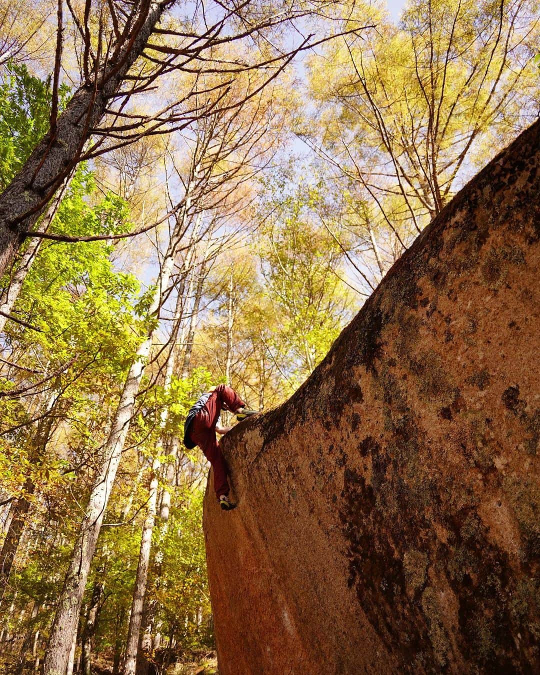 石松大晟のインスタグラム：「・ この地球を遊び尽くす🌏 そのためのツールはこれ🌳 ⁡ ⁡ @lasportivajp  @carbongrip  @thoufun_official  @mudhand_cb」